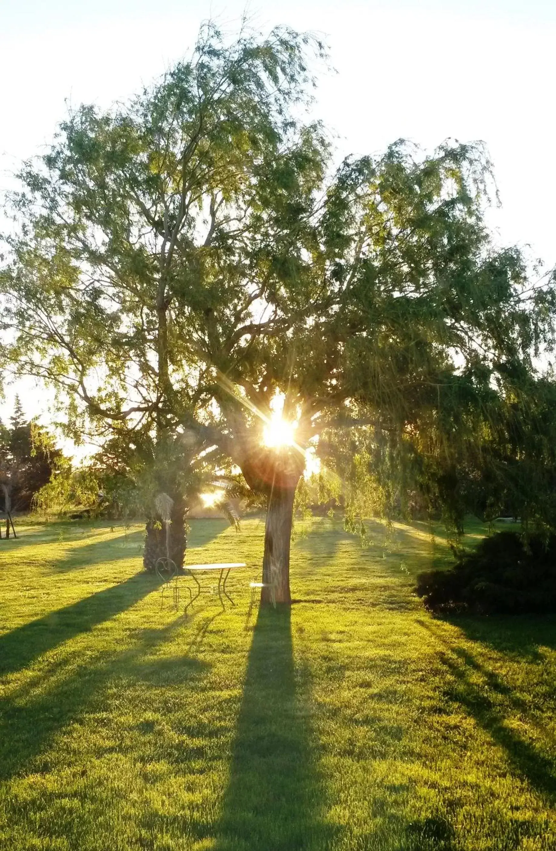 Day, Garden in Le Mas Del Cavalier