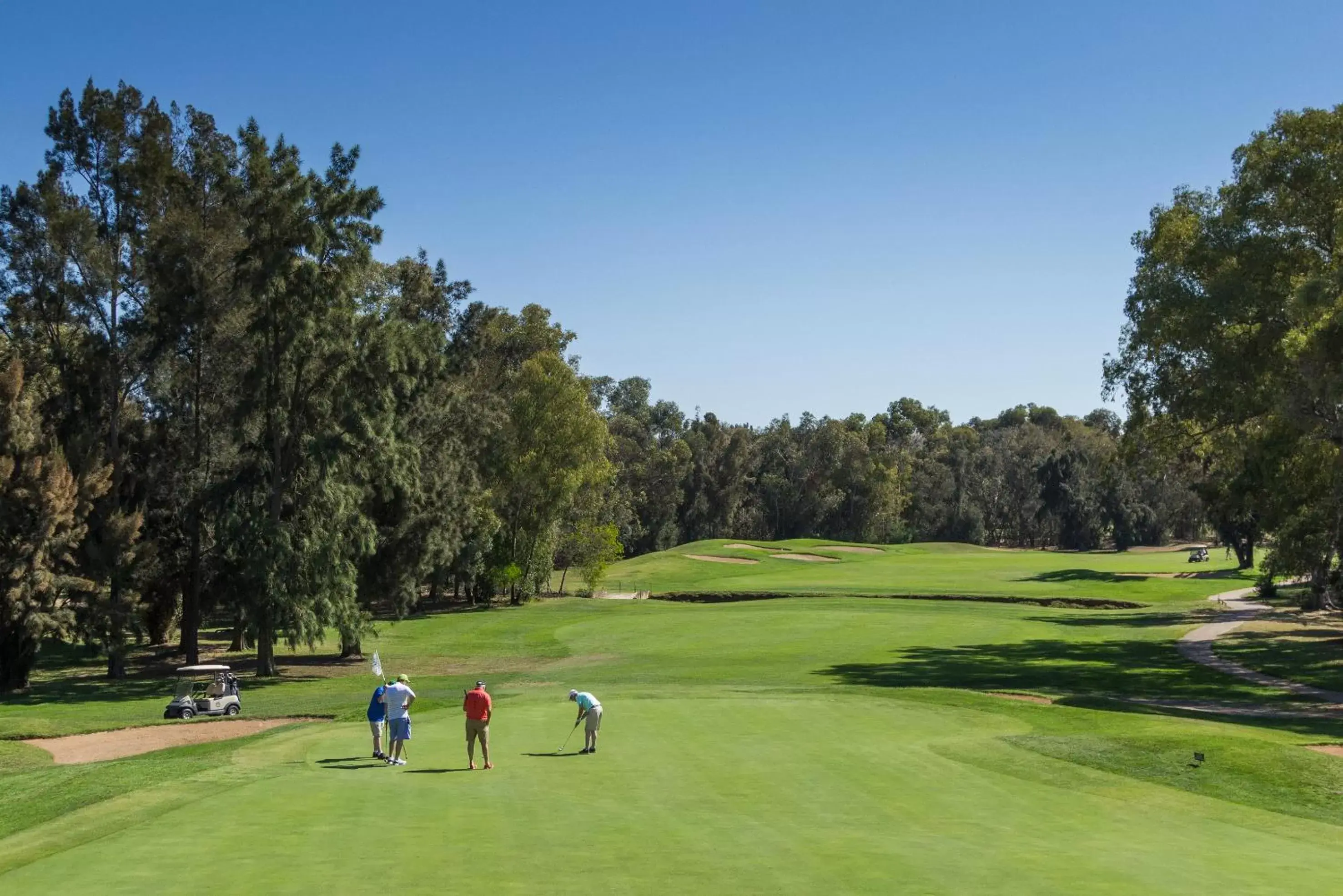 Golfcourse, Golf in Penina Hotel & Golf Resort