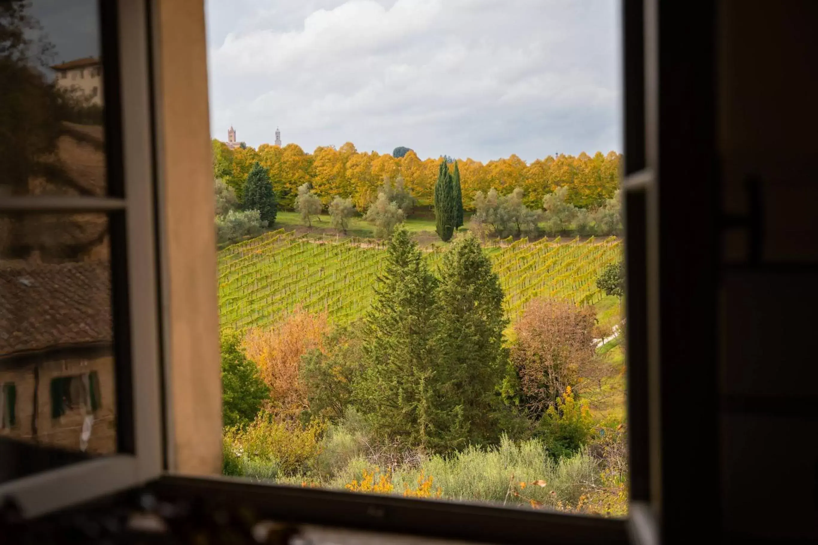 View (from property/room) in Hotel Certosa Di Maggiano