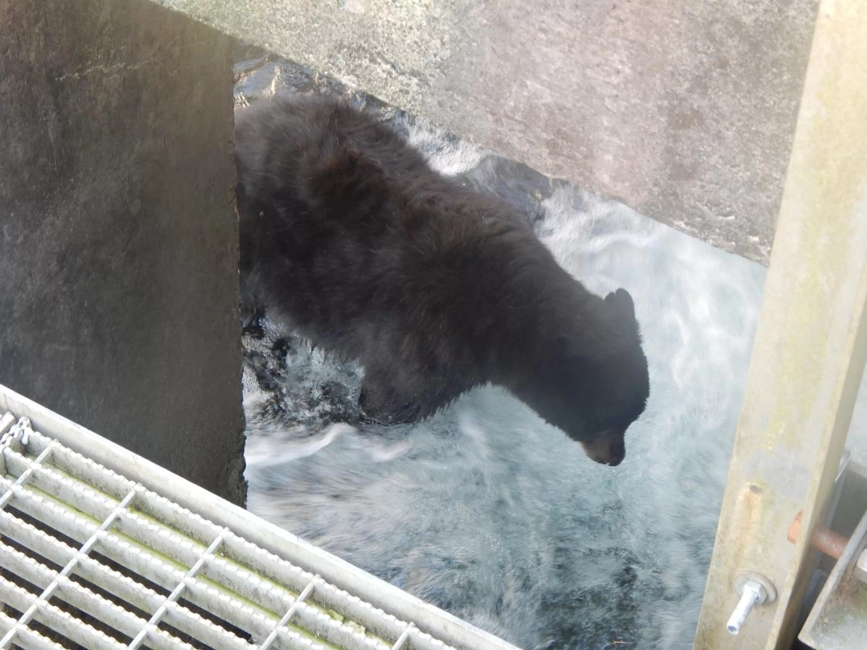 Off site in Money Pennies Bed and Breakfast