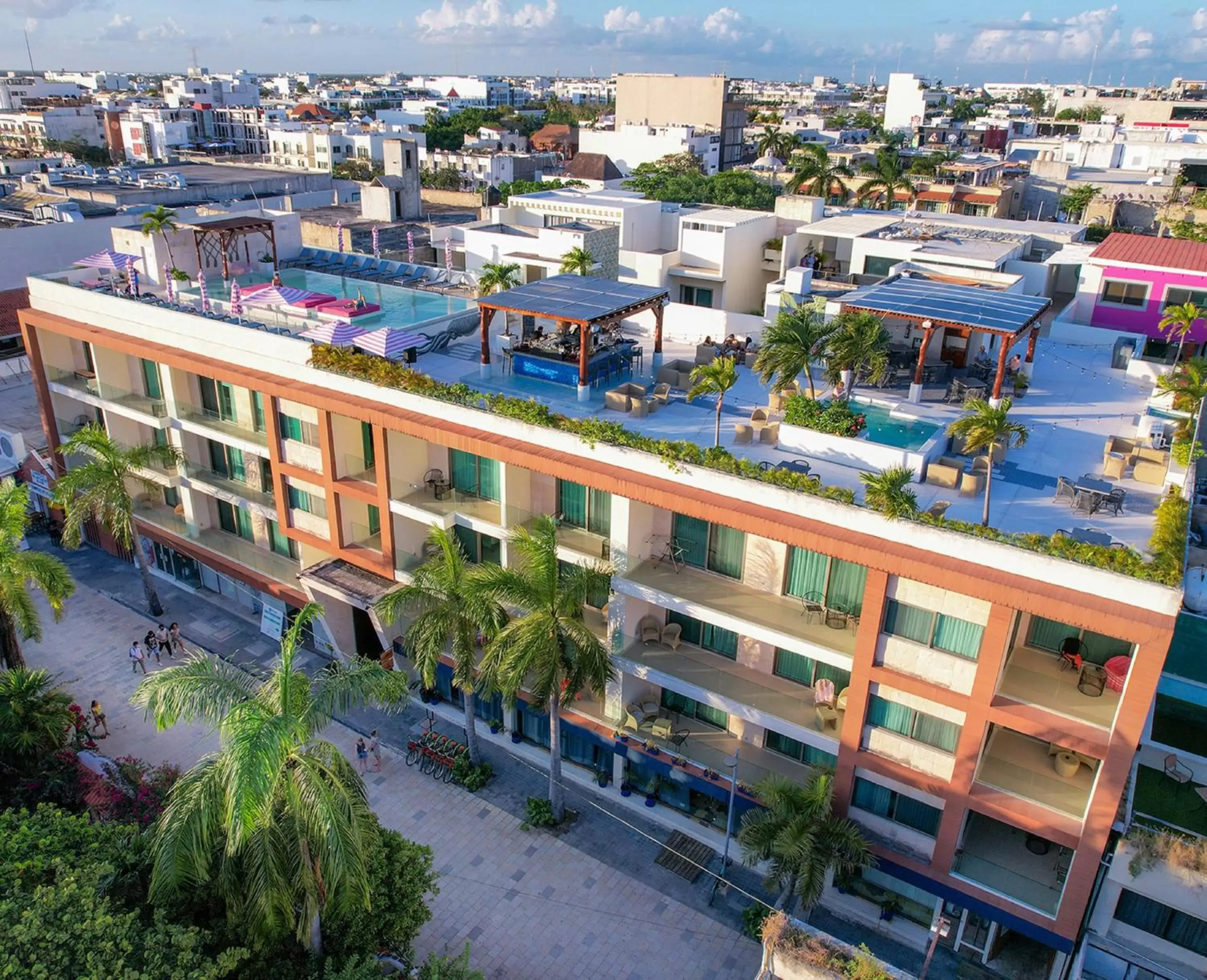 Bird's eye view, Bird's-eye View in The Palm at Playa