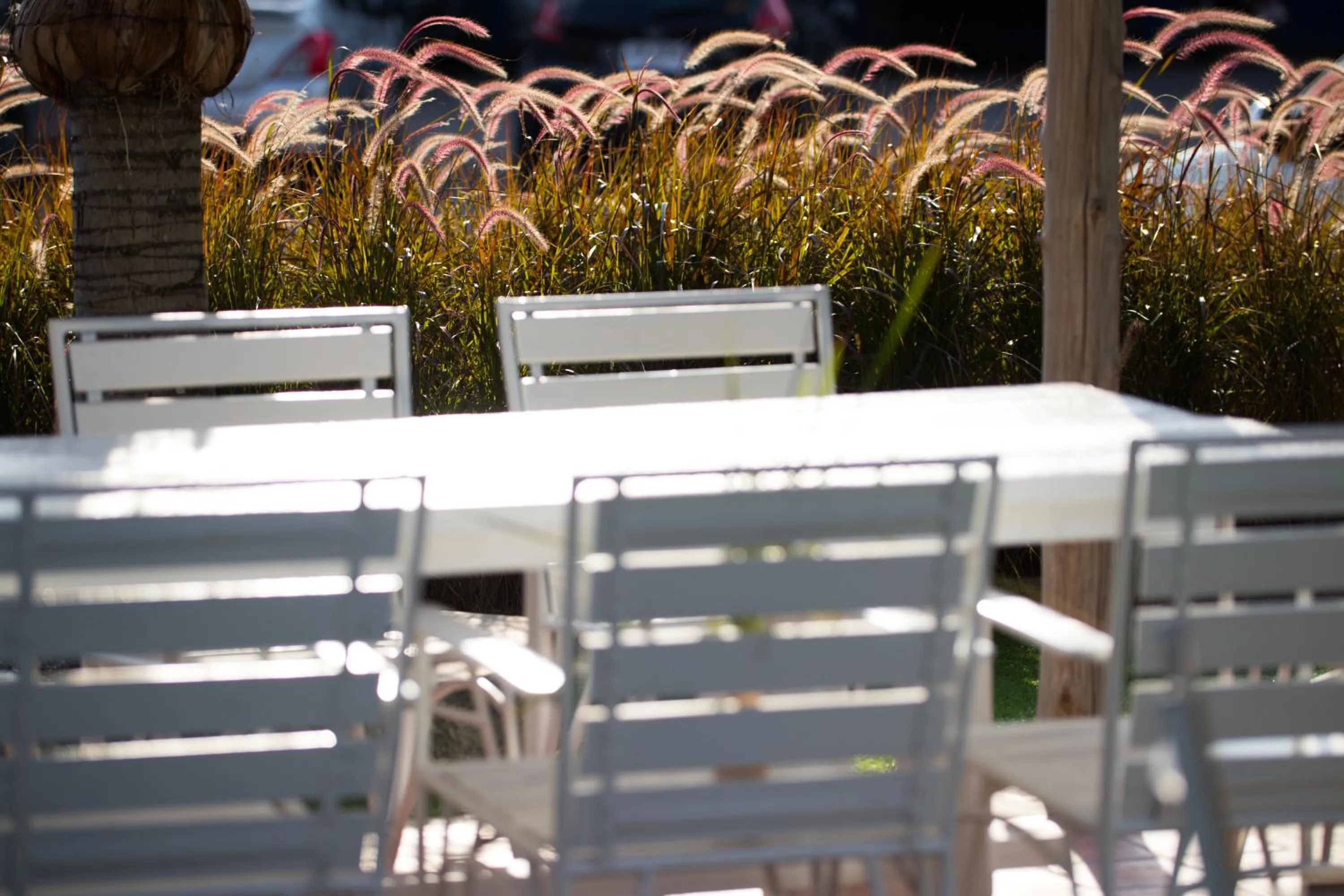 Banquet/Function facilities in Naina Resort & Spa - SHA Extra Plus