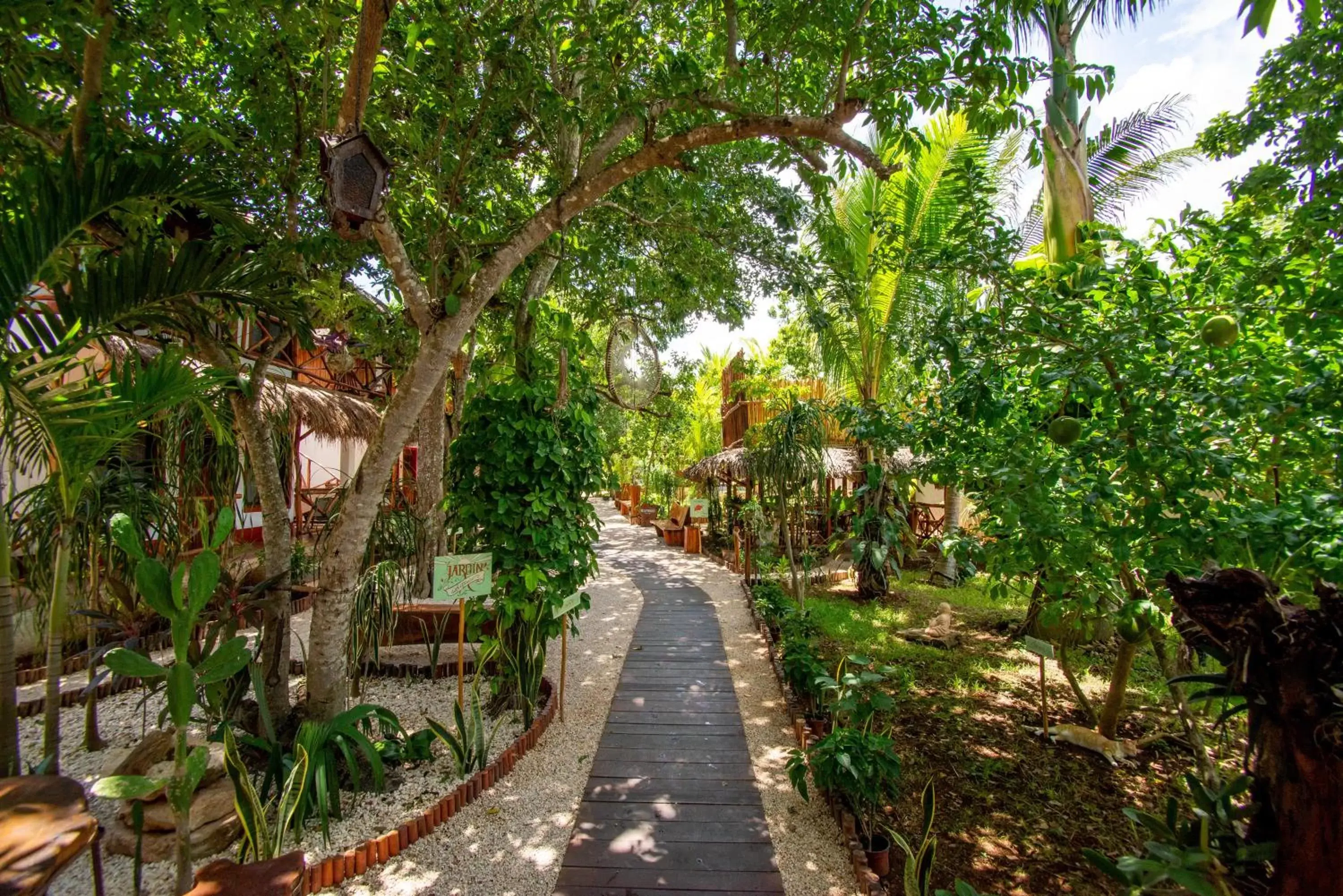 Garden in Hotel Zentik Project & Saline Cave