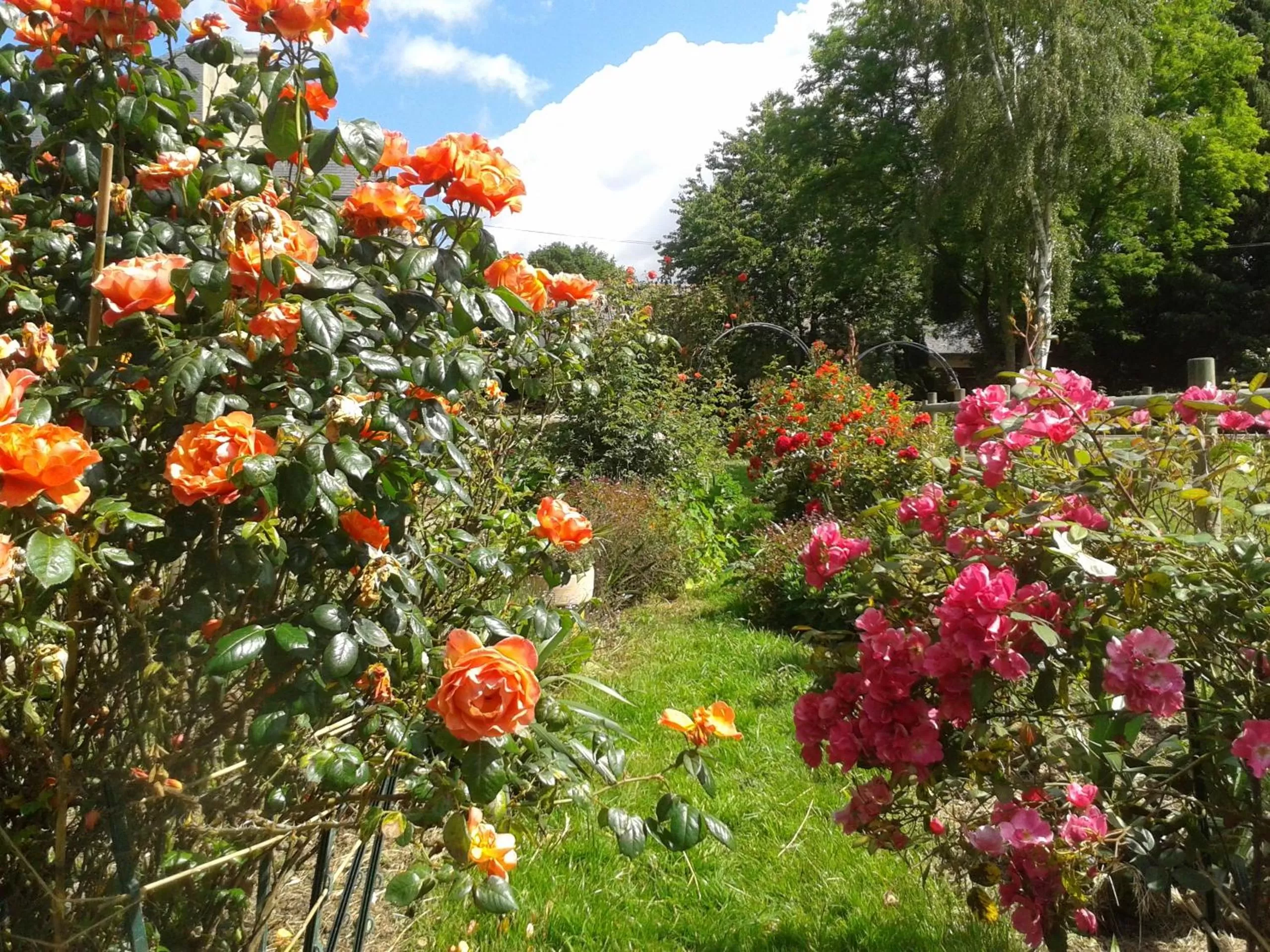 Garden view in Manoir de la Peignie