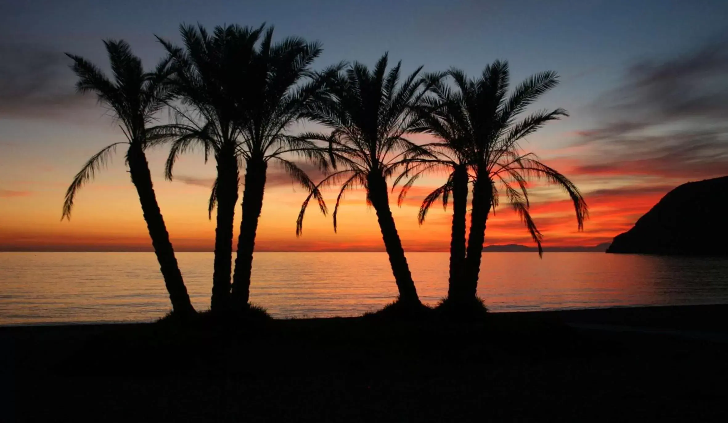 Beach, Sunrise/Sunset in Sol Los Fenicios