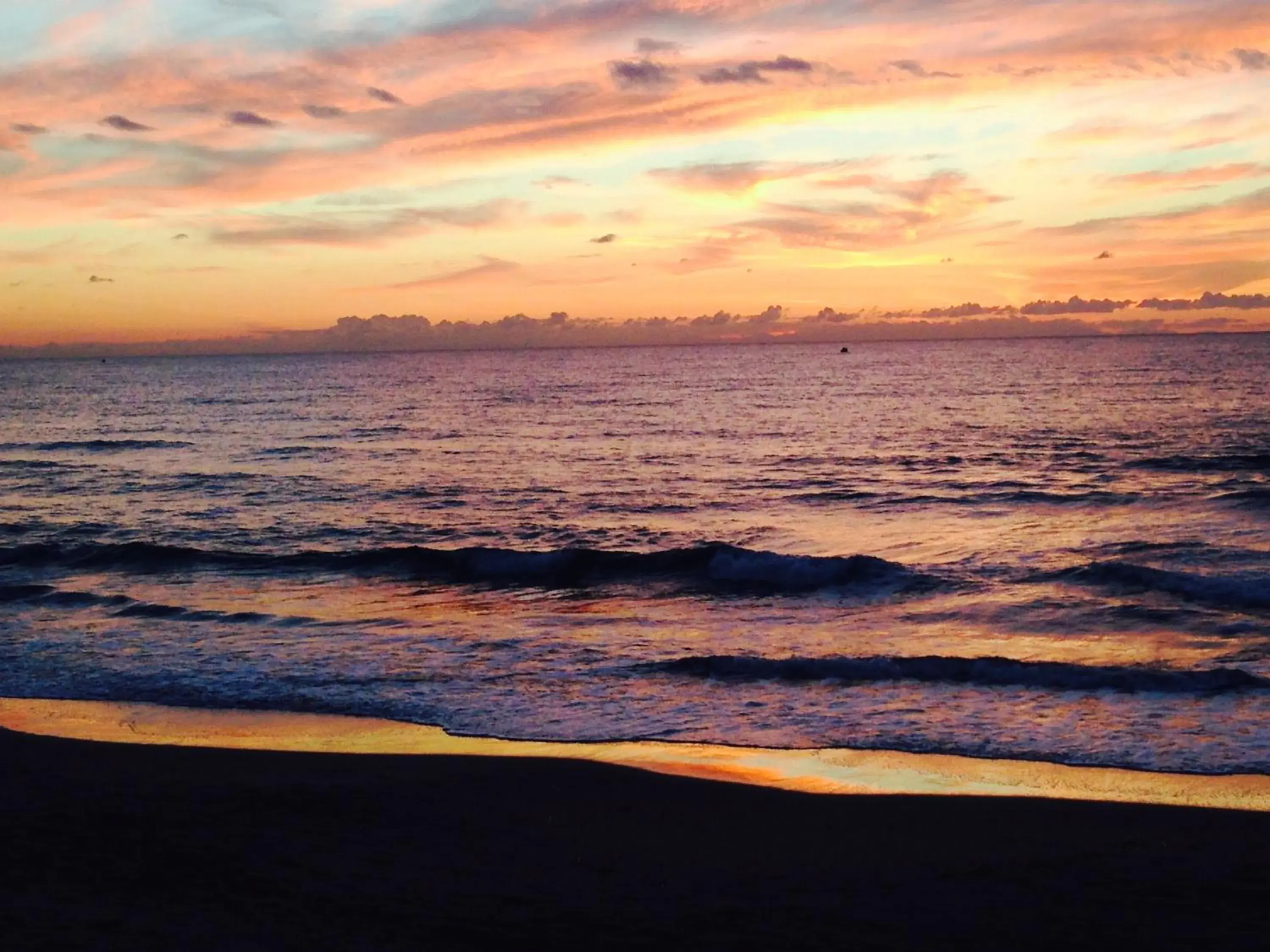 Natural landscape, Beach in Hotel il Delfino