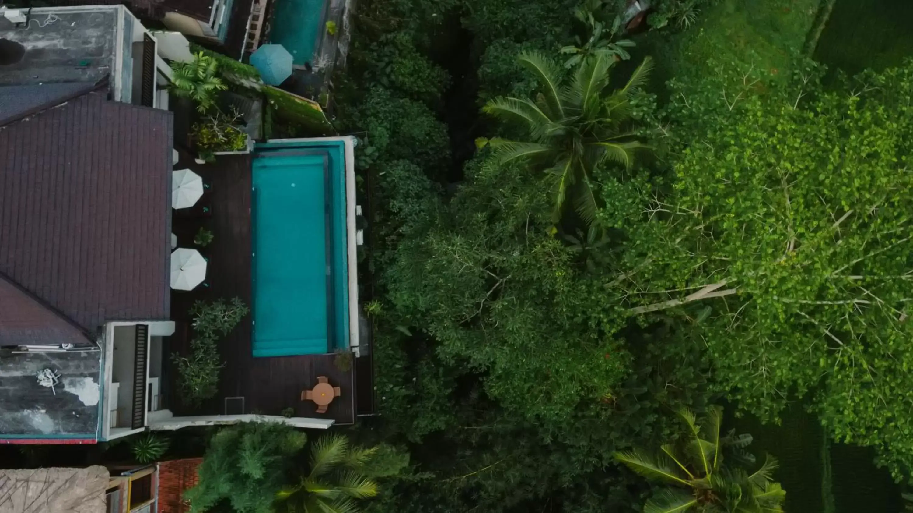 Pool view in River Sakti Ubud by Prasi