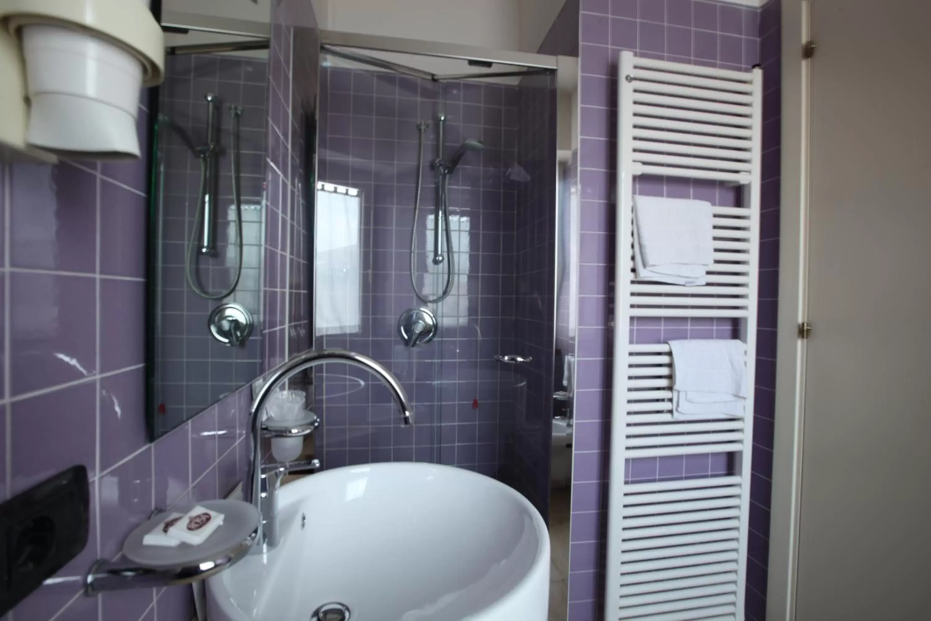 Shower, Bathroom in Hotel Rosa