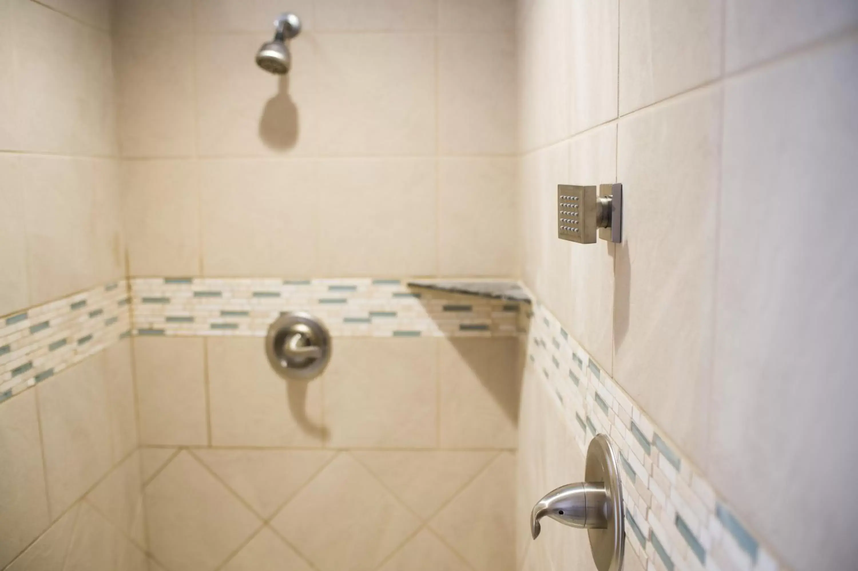 Shower, Bathroom in Bluemont Hotel