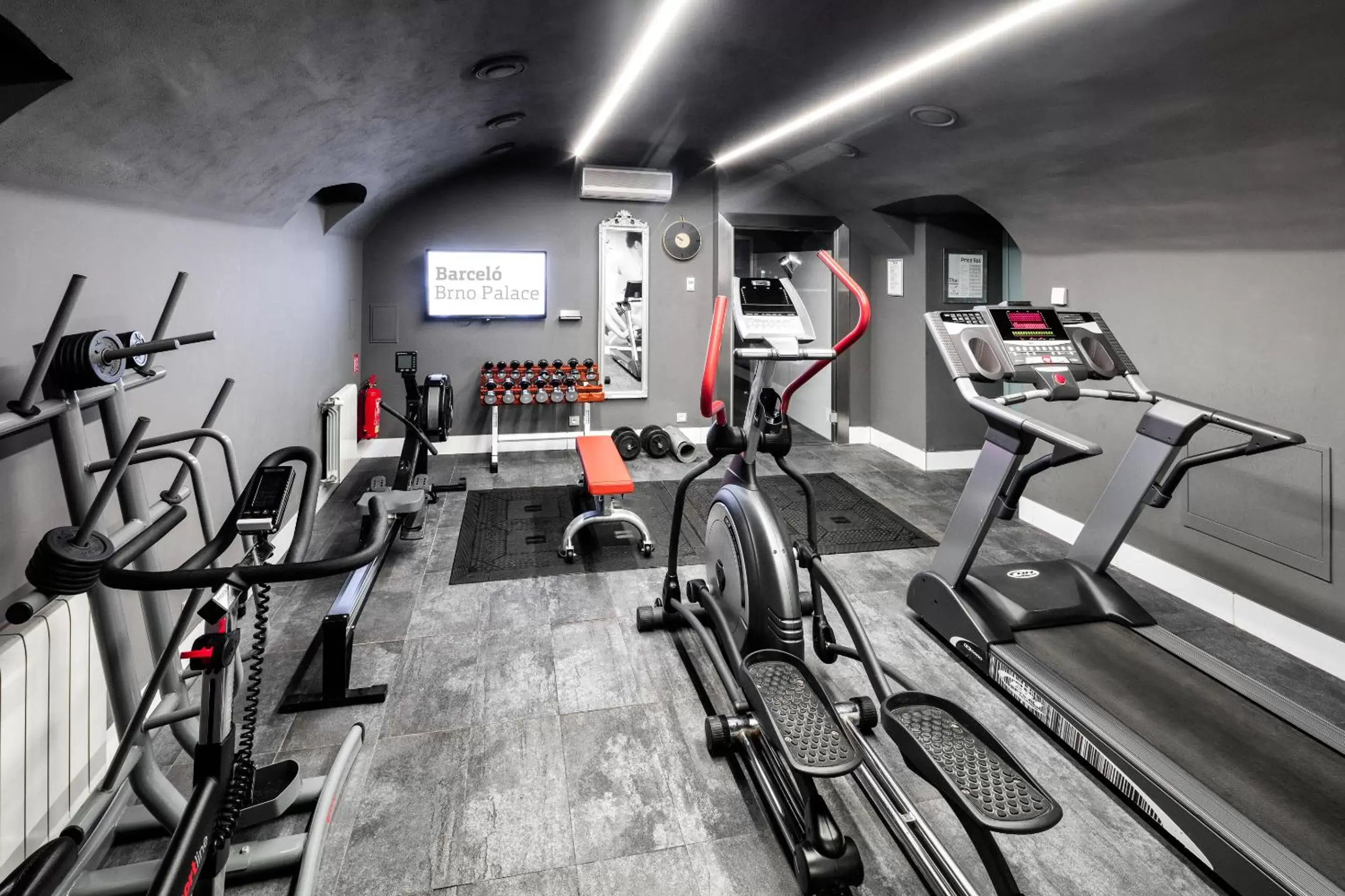 Fitness centre/facilities, Fitness Center/Facilities in Barceló Brno Palace