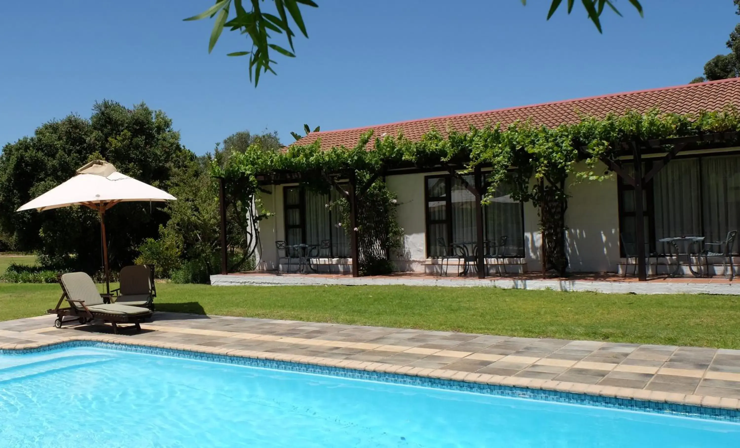 Swimming Pool in Vine Guesthouse