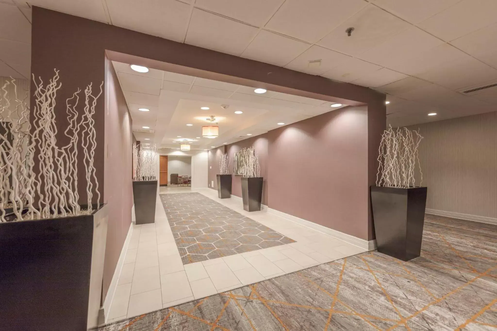 Meeting/conference room, Banquet Facilities in Holiday Inn Austin Midtown, an IHG Hotel