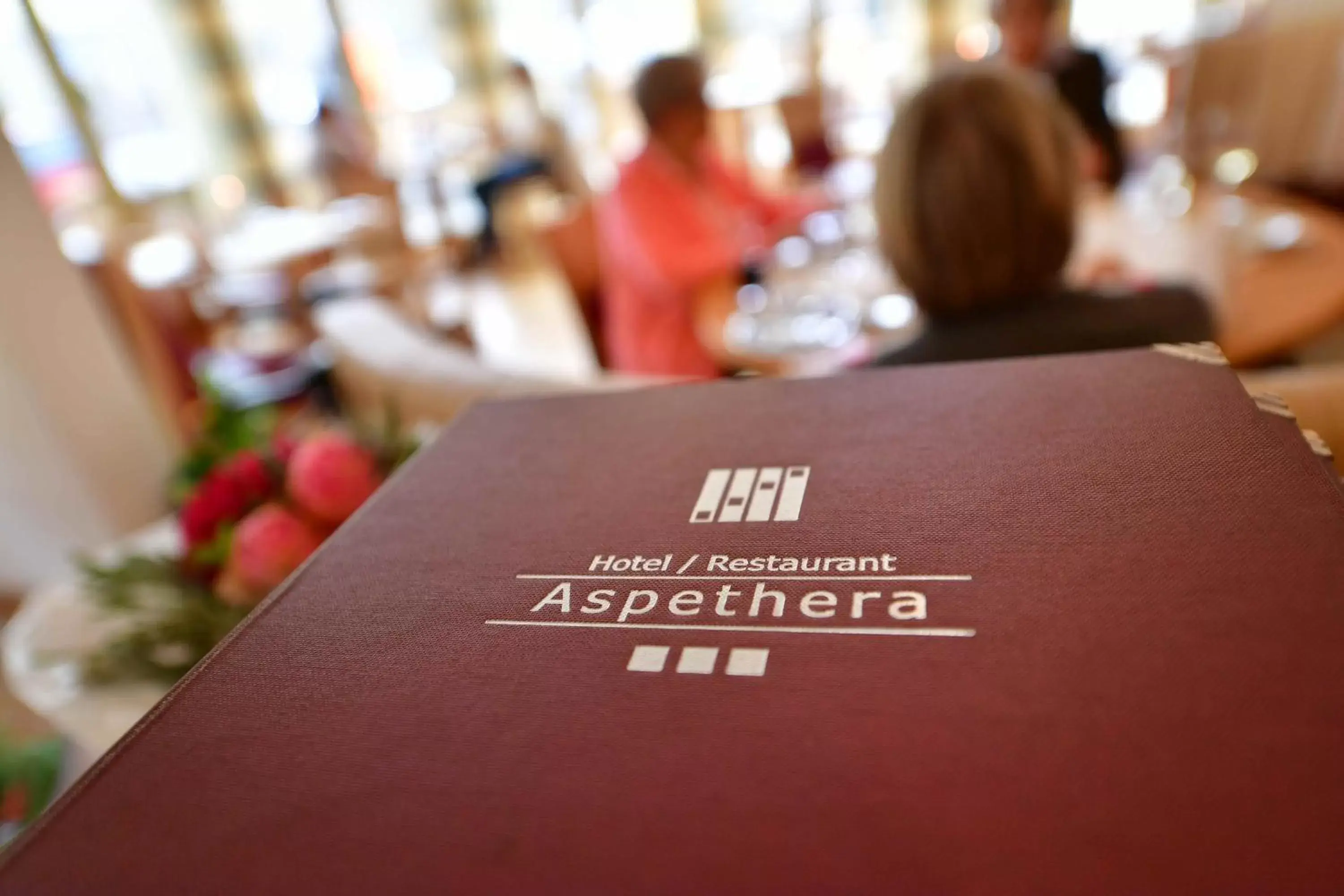 Hotel Aspethera