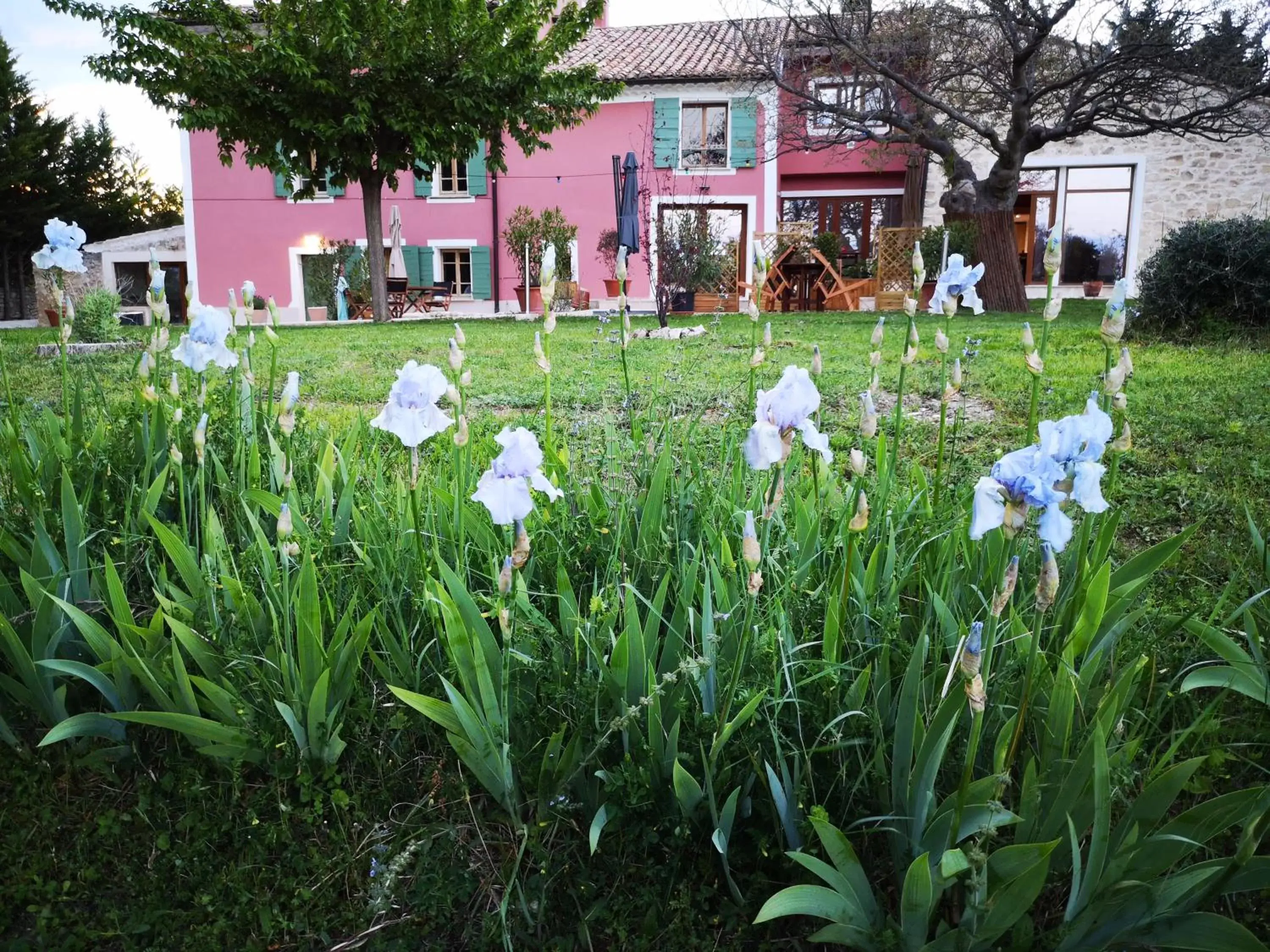 Garden in La Bastide du Limon