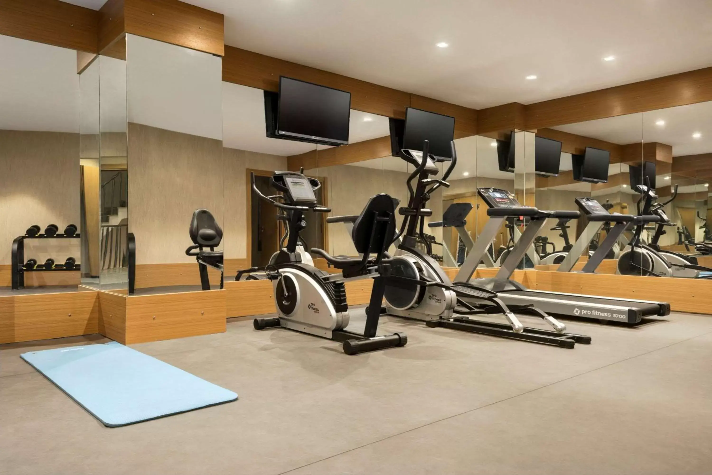 Fitness centre/facilities, Fitness Center/Facilities in Ramada By Wyndham Nilufer Bursa