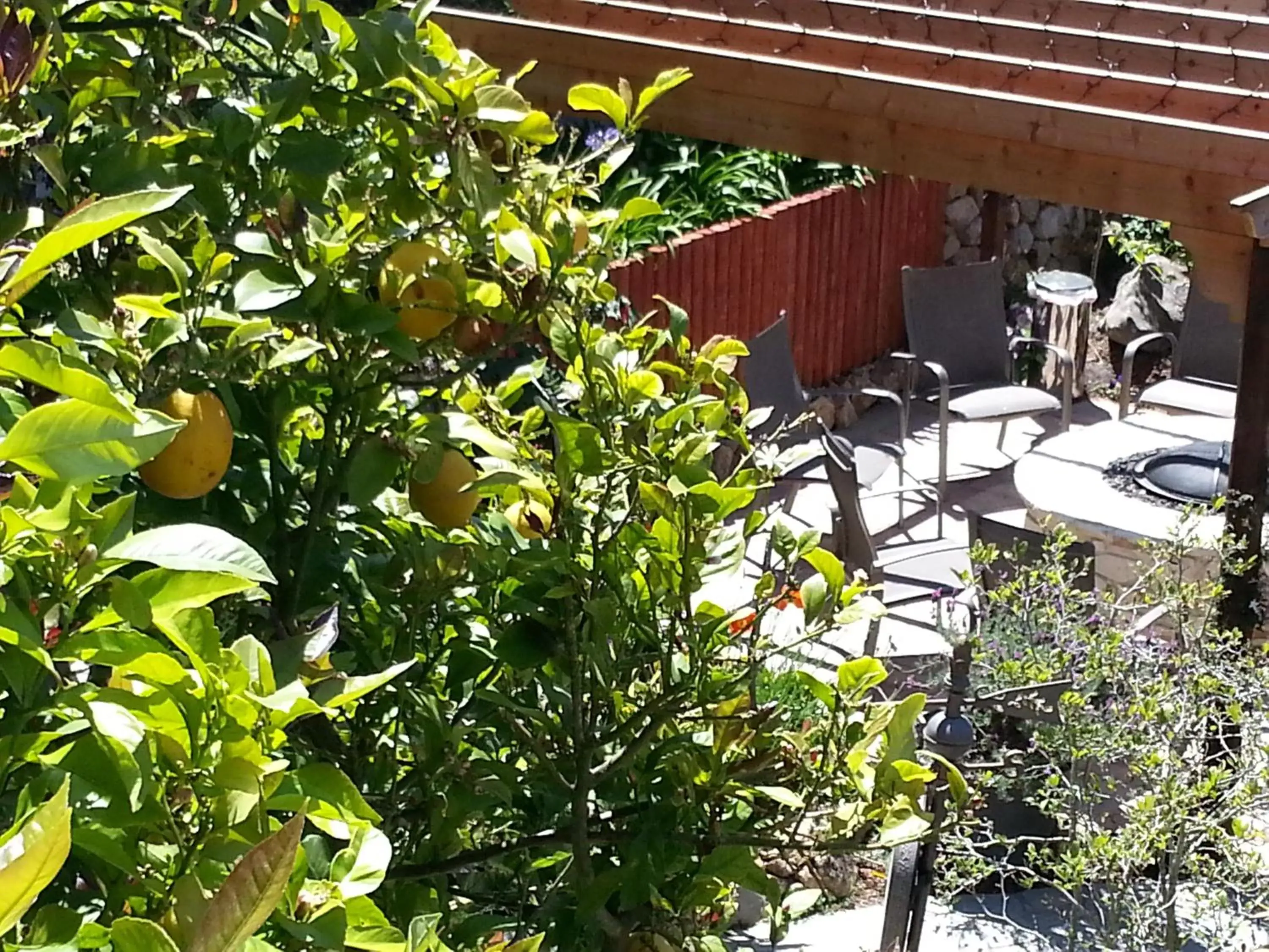 Balcony/Terrace in The Vendange Carmel Inn & Suites