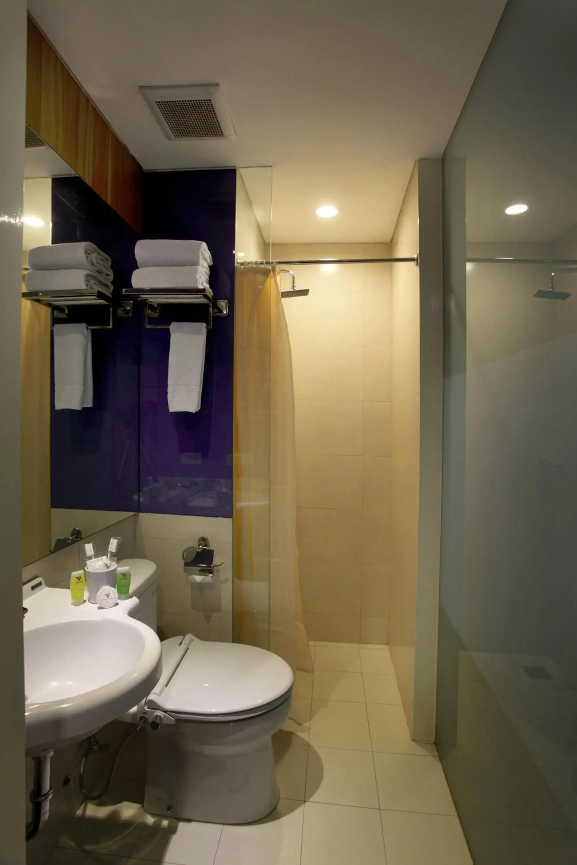 Bathroom in Hotel Vio Pasteur