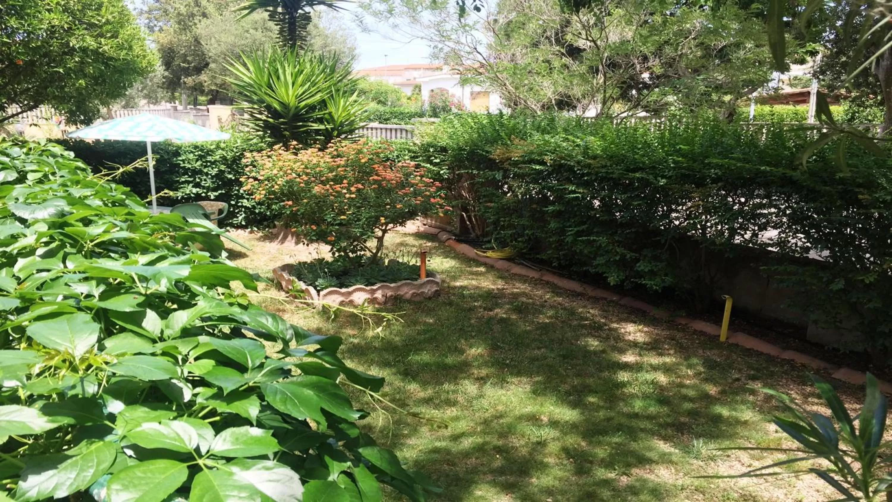 Garden in B&B Pani Silvio