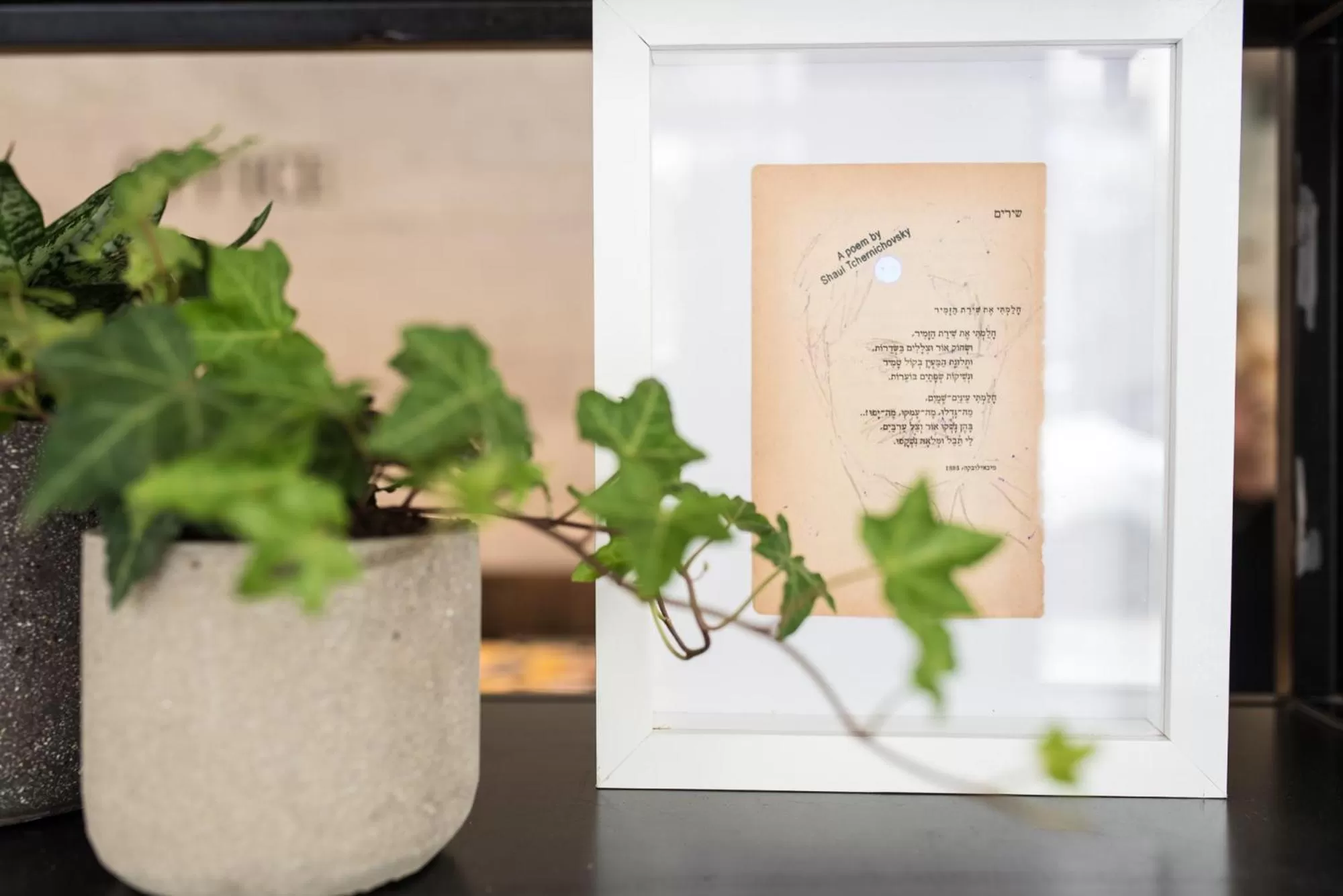 Lobby or reception in The Saul