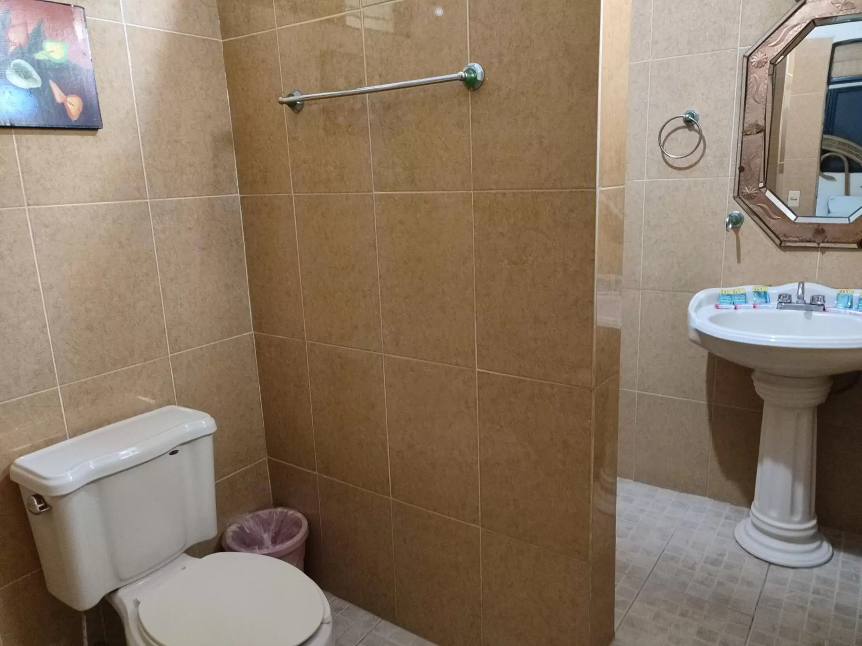 Shower, Bathroom in Hotel Ashly