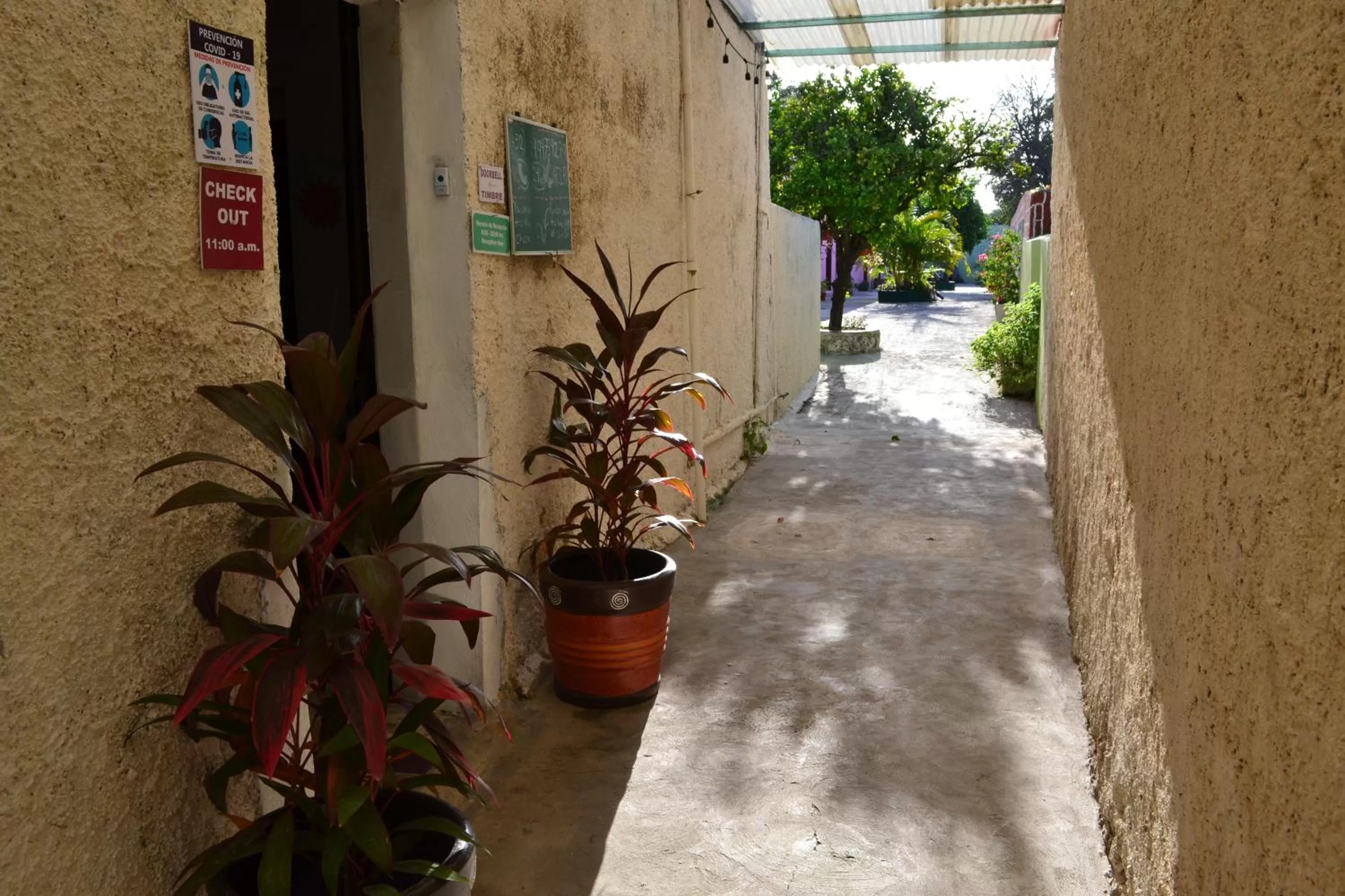 Facade/entrance in Casa Cuevas & Amaro