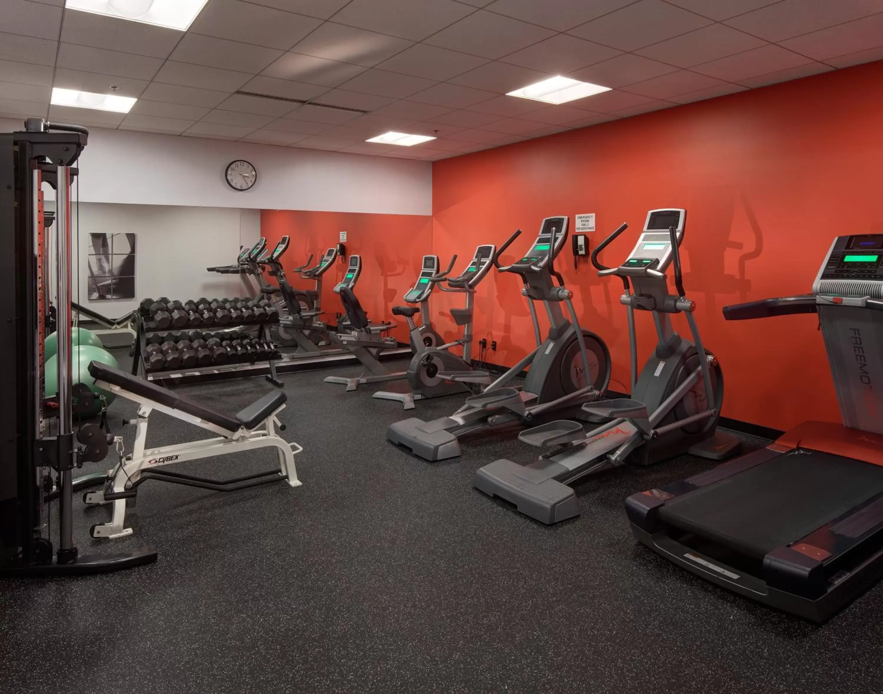 Fitness centre/facilities, Fitness Center/Facilities in Radisson Hotel Milwaukee West