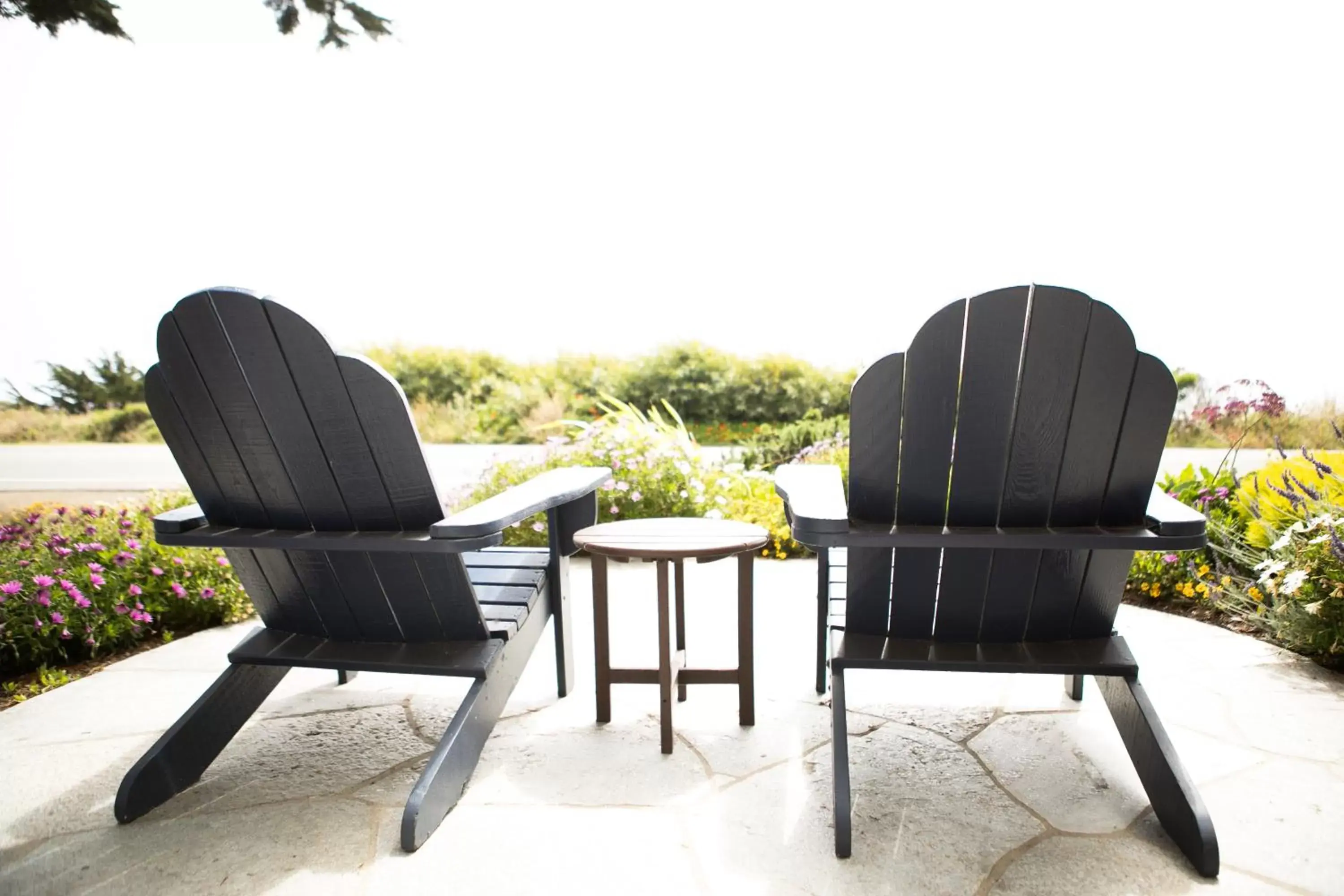 Sea view in Sea Otter Inn Sea view in Sea Otter Inn