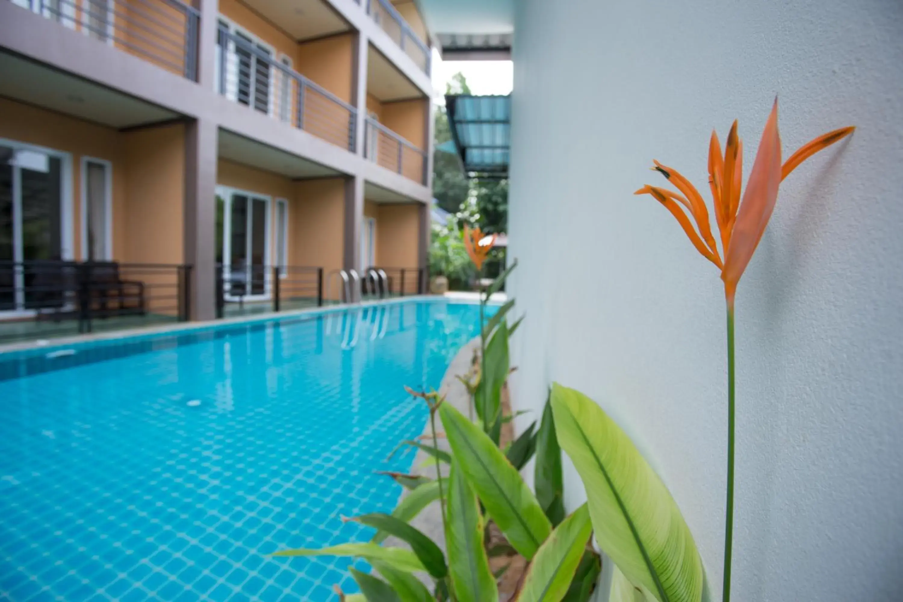 Property building, Swimming Pool in Khaolak Suthawan Resort (SHA Extra Plus)