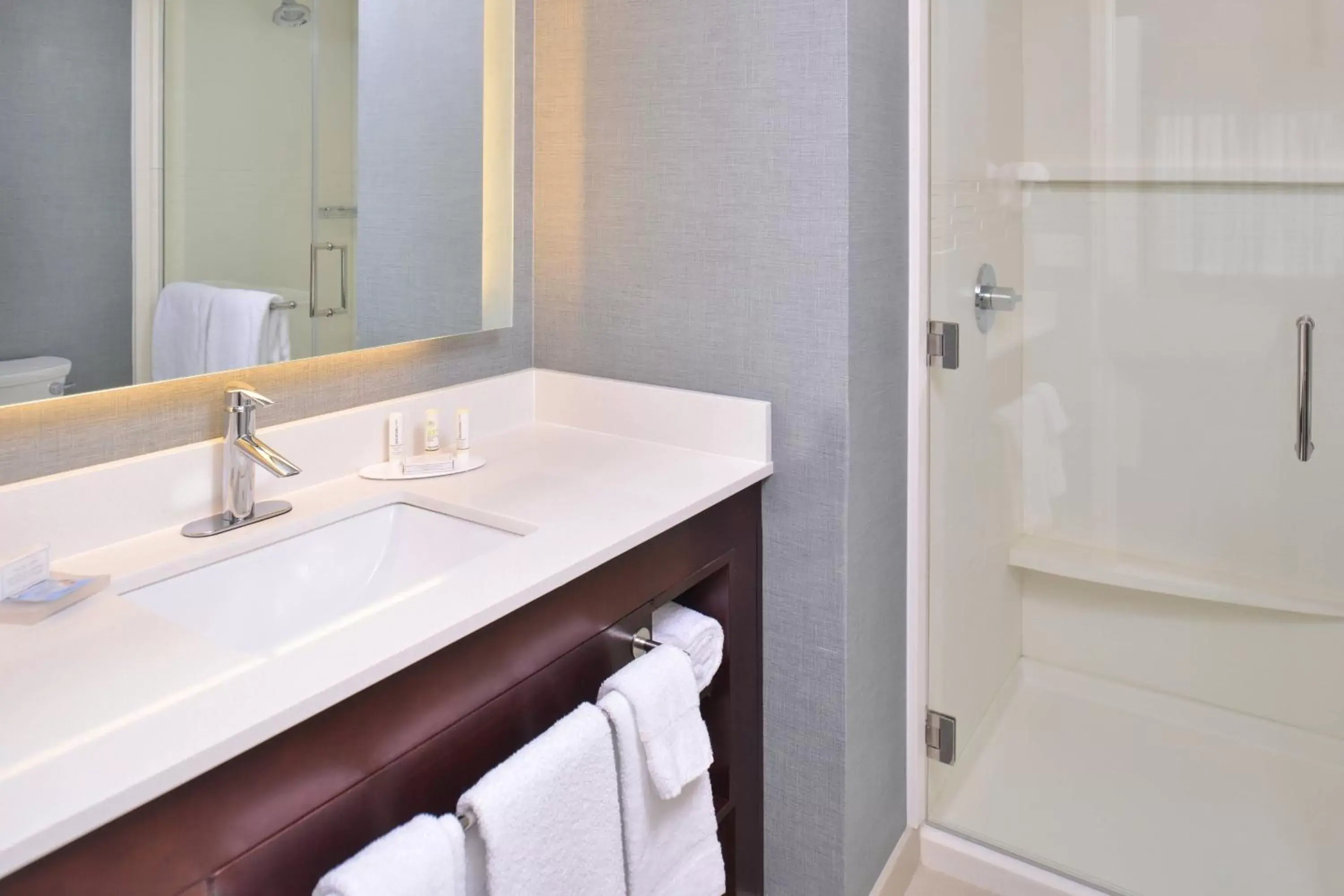 Bathroom in Residence Inn by Marriott Cedar Rapids South