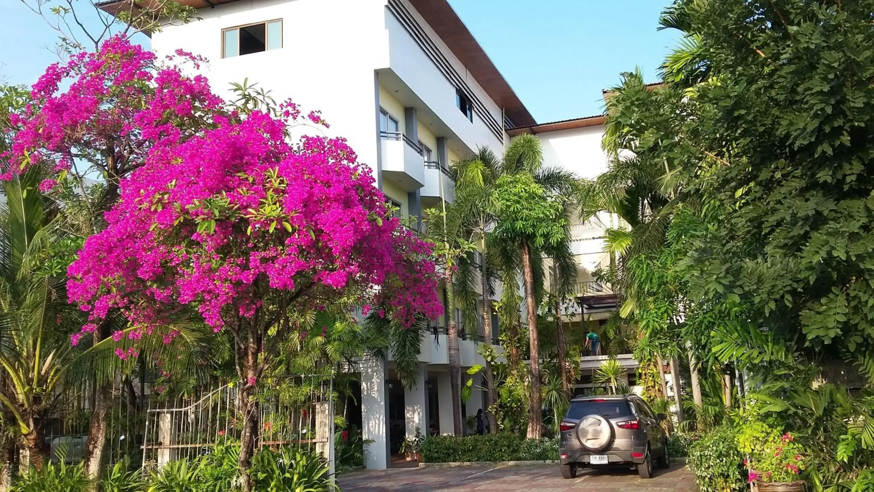 Natural landscape, Property Building in The Greenery Hotel