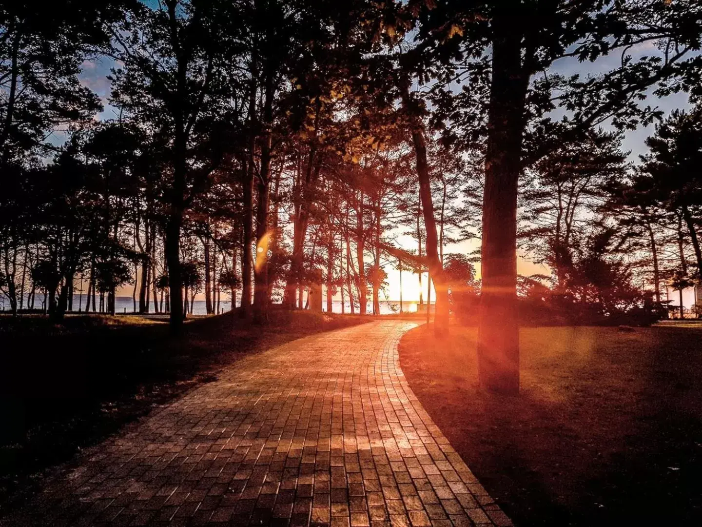 Sunrise in IFA Rügen Hotel & Ferienpark