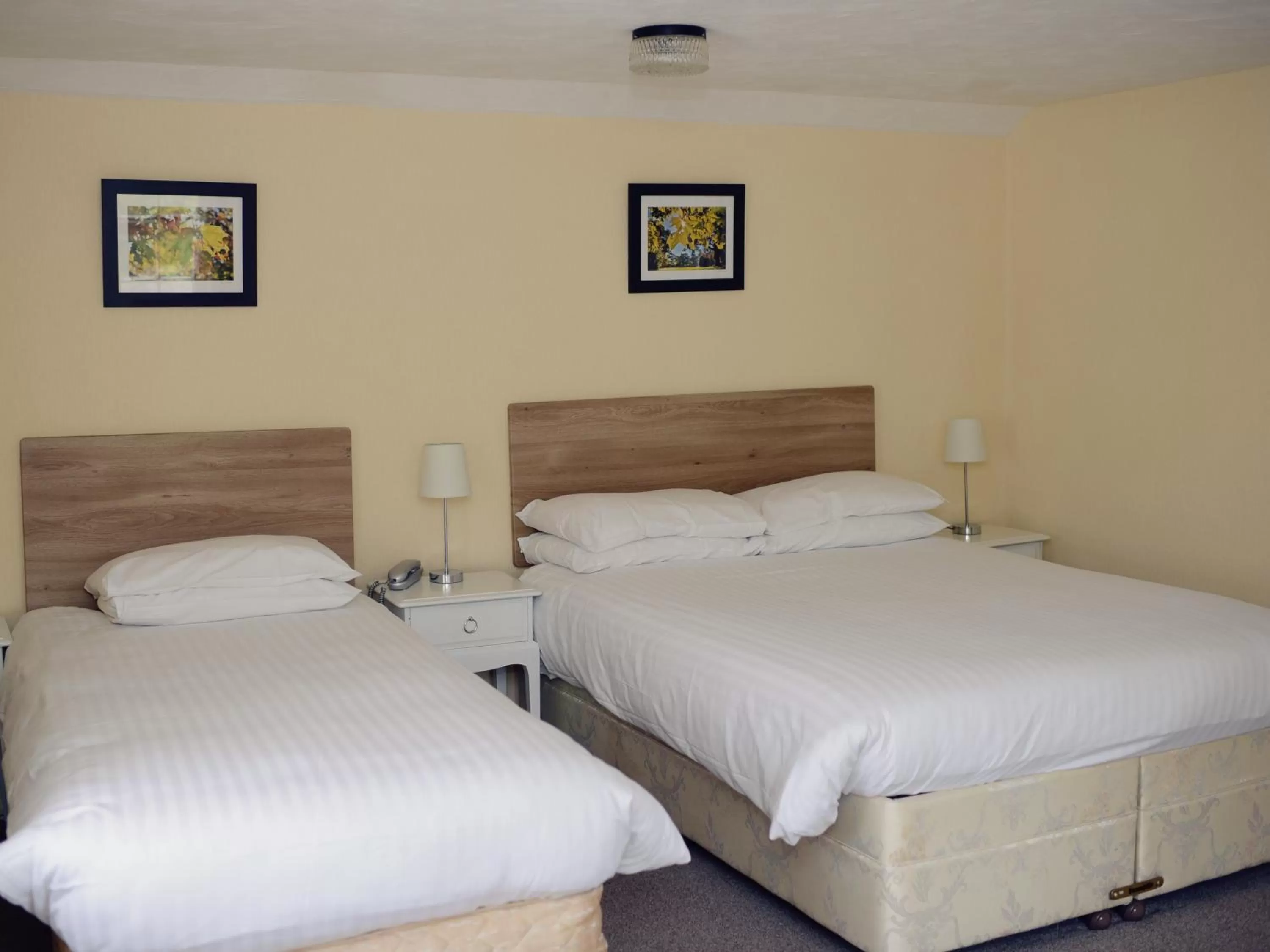 Triple Room in Park Hill Hotel