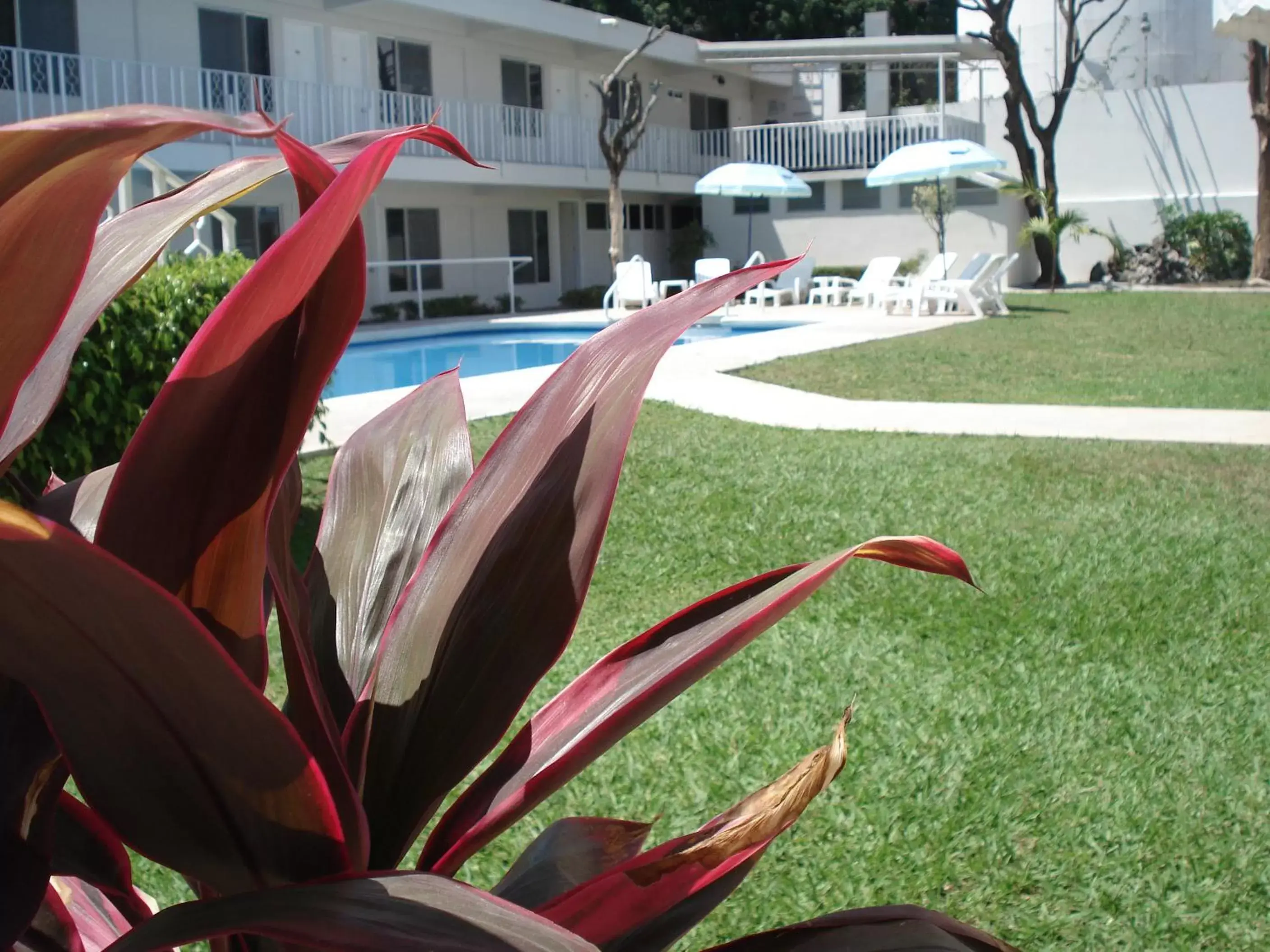 Garden, Swimming Pool in AOHOM SANTUARIO HOTEL & SPA