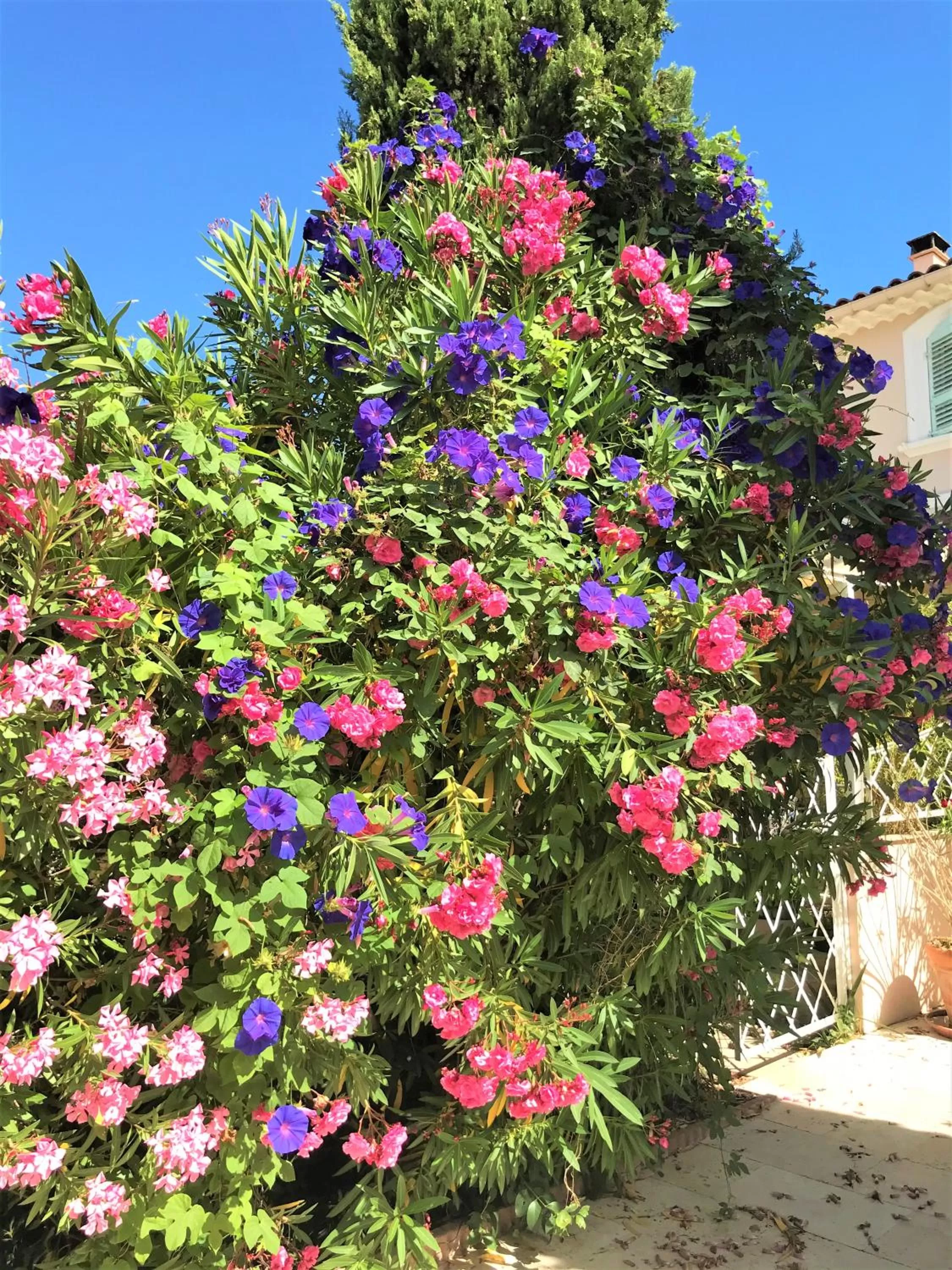 Natural landscape in Domaine de l'Aufrene