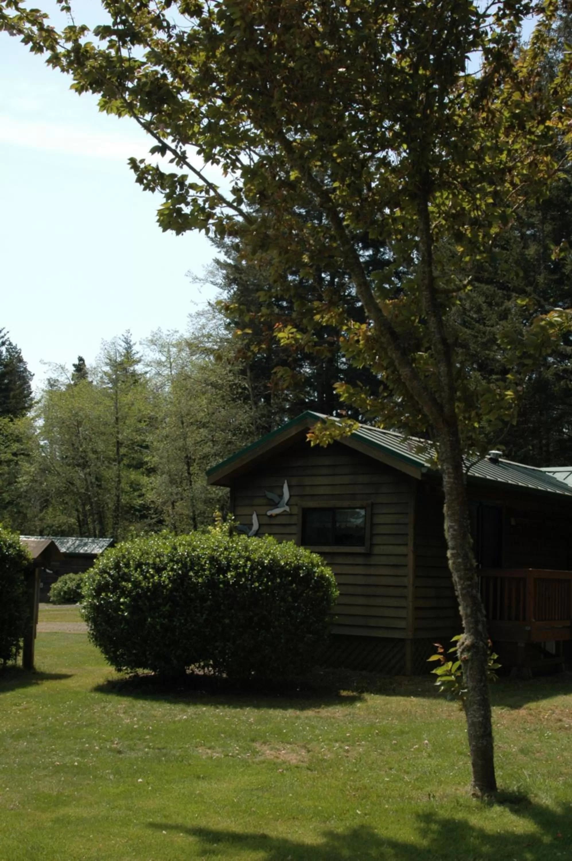 Park Motel and Cabins