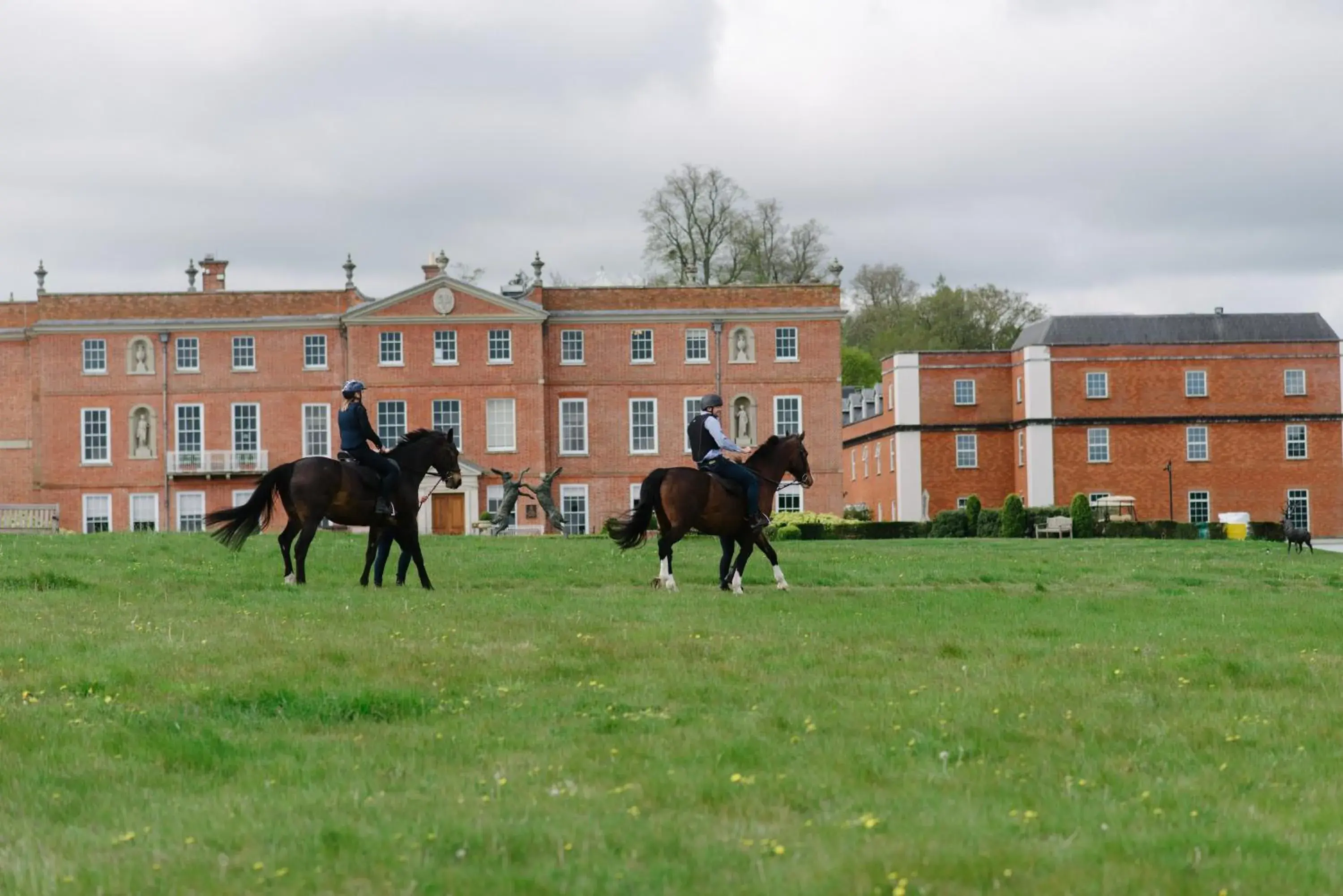 Horse-riding, Other Animals in Four Seasons Hotel Hampshire