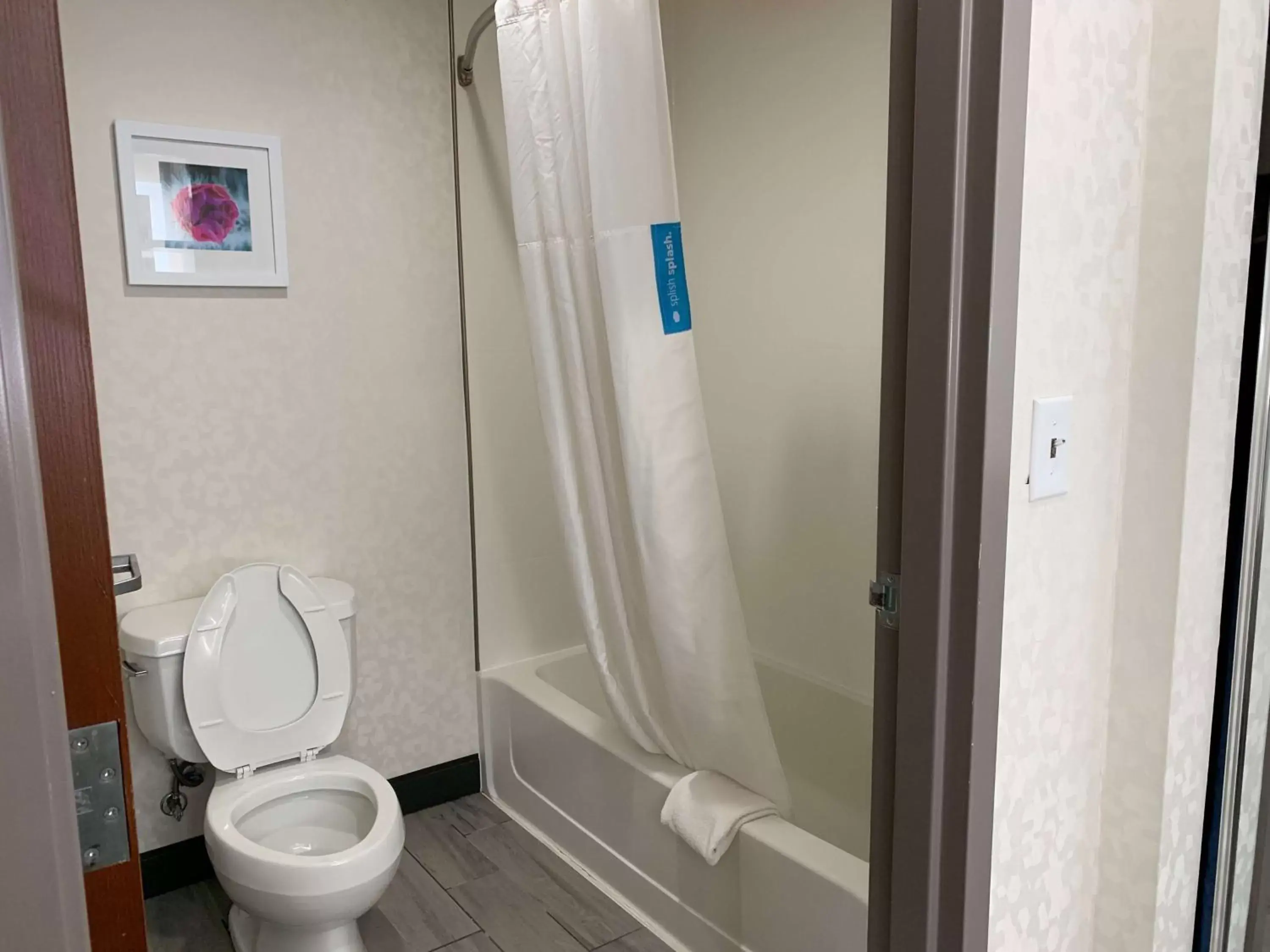 Bathroom in Hampton Inn Fort Stockton
