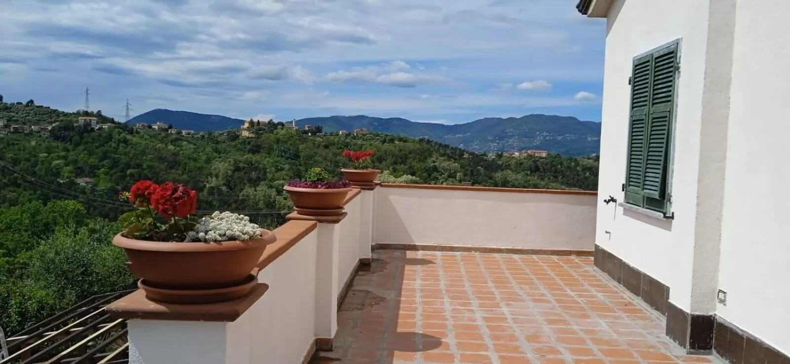 Mountain View in In Vino Veritas