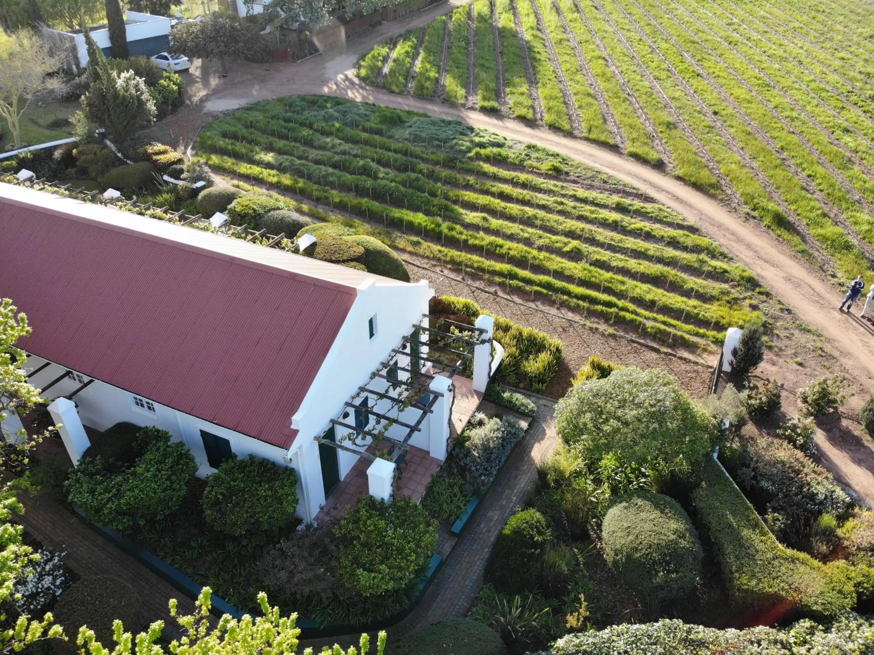 Bird's eye view, Bird's-eye View in Eikendal Lodge