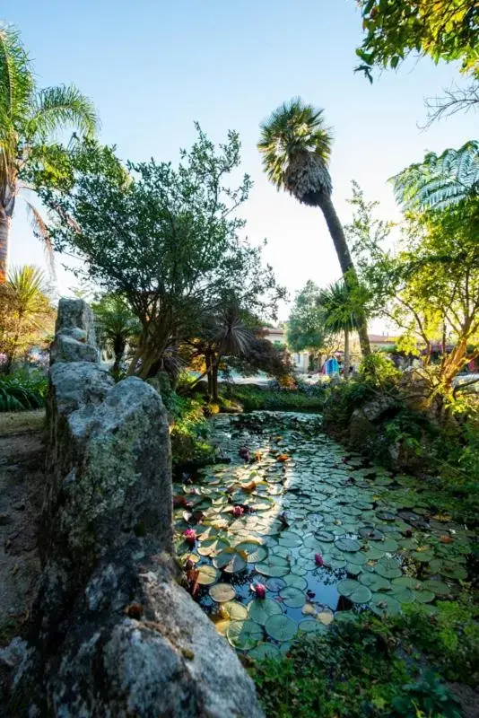 Patio, Garden in Quinta da Malaposta - Boutique Hotel & Eventos