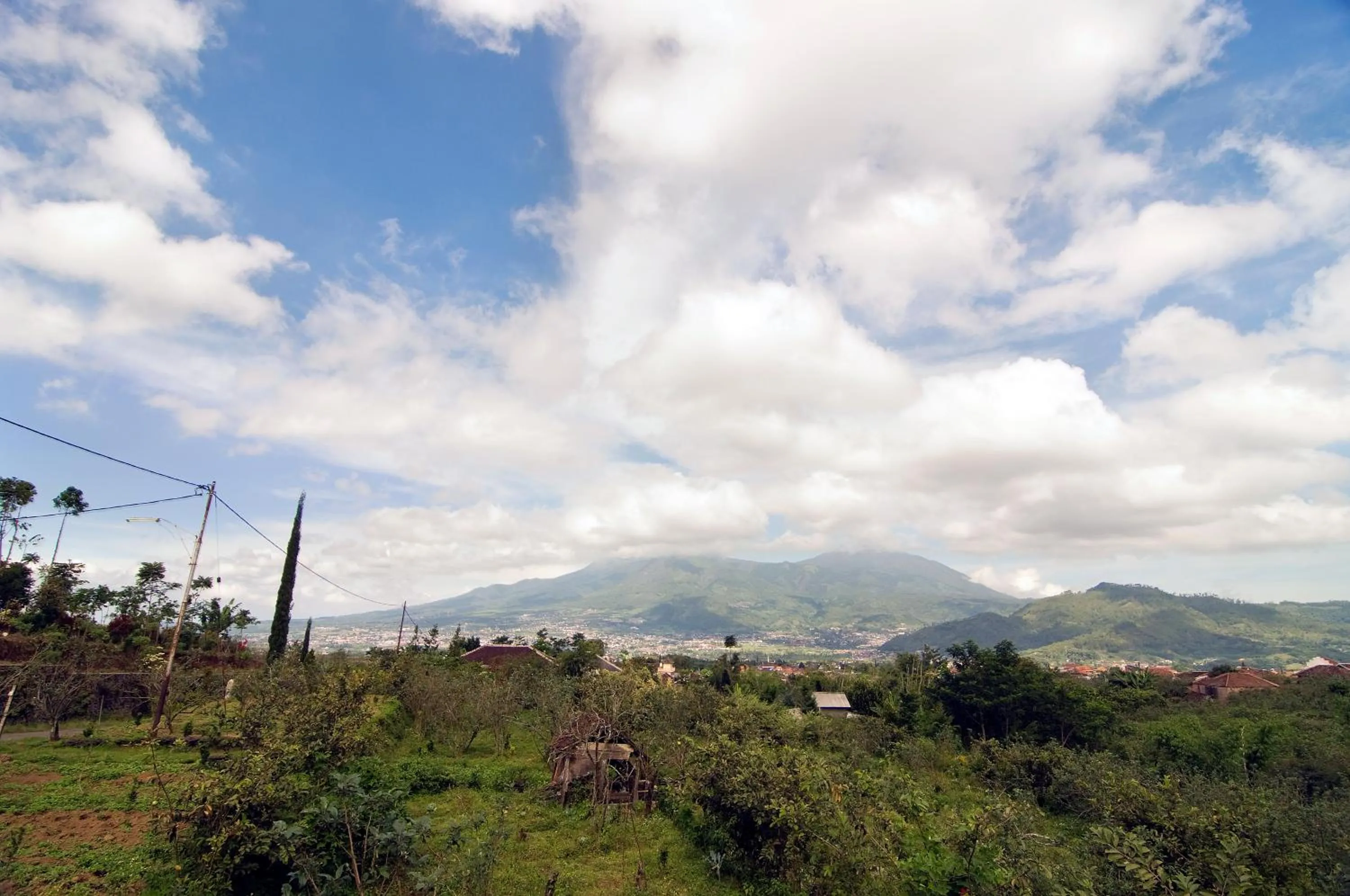 View (from property/room) in Villa Mulyono