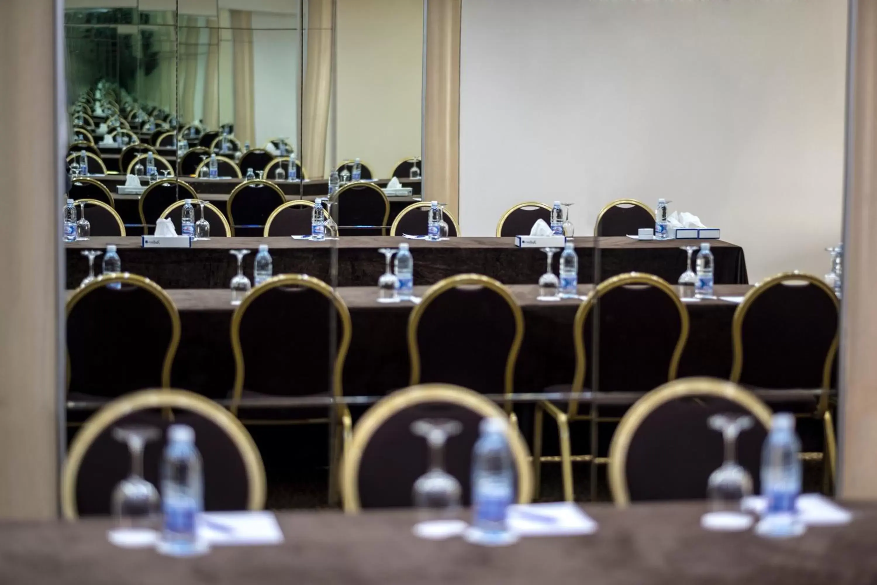 Business facilities, Business Area/Conference Room in Radisson Blu Hotel, Beirut Verdun