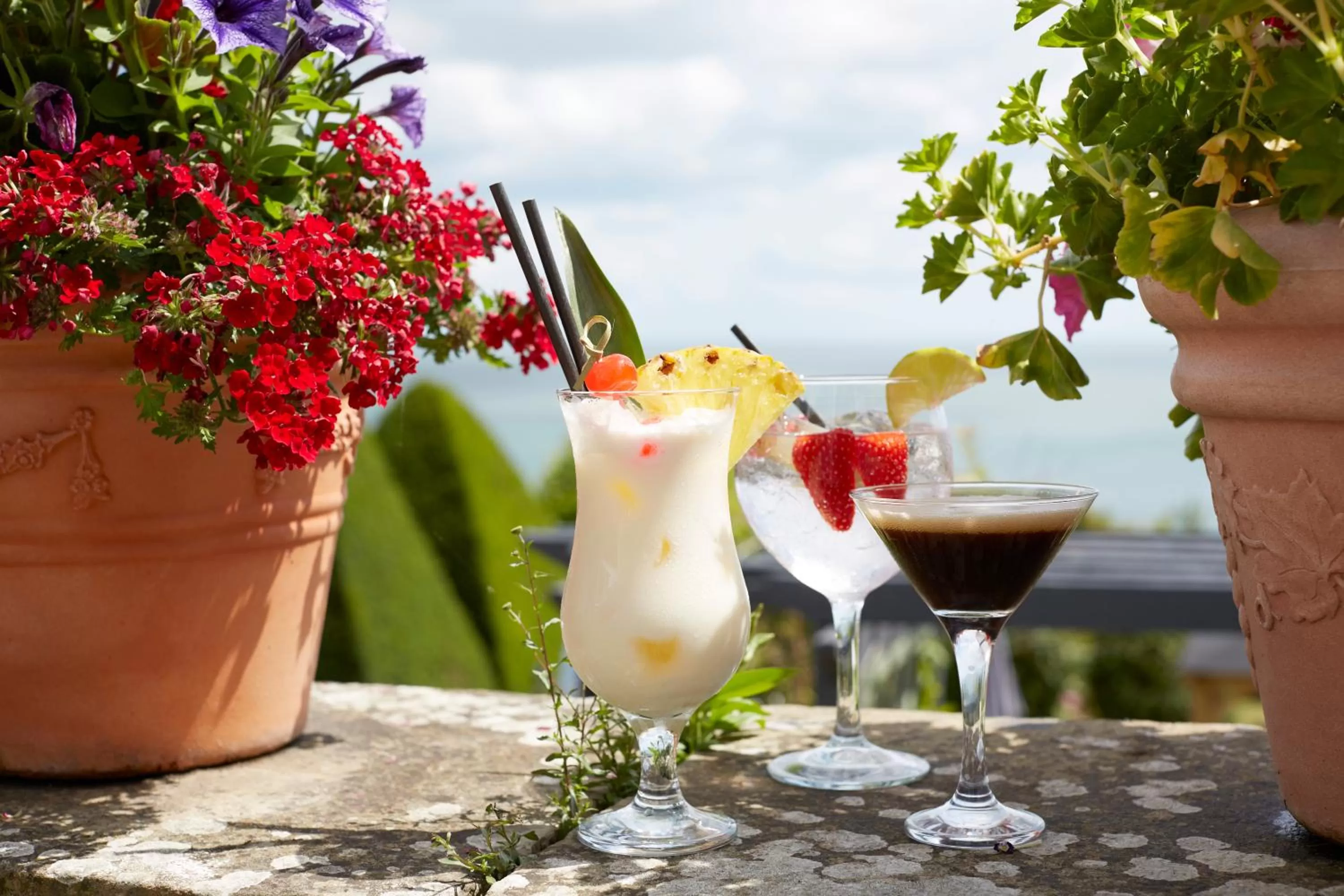 Garden in Luccombe Hall Hotel