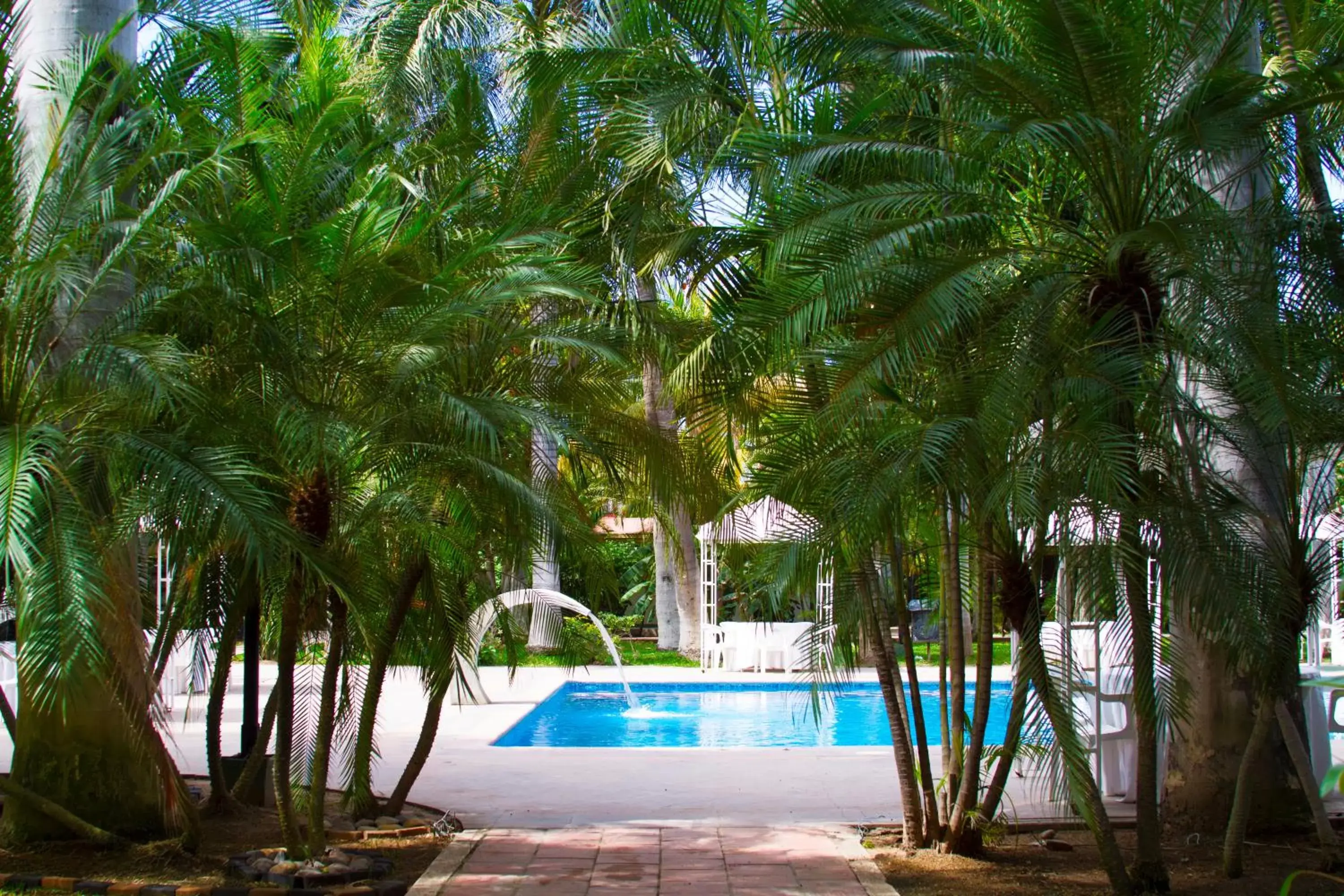 Swimming Pool in Hotel Los Tres Rios