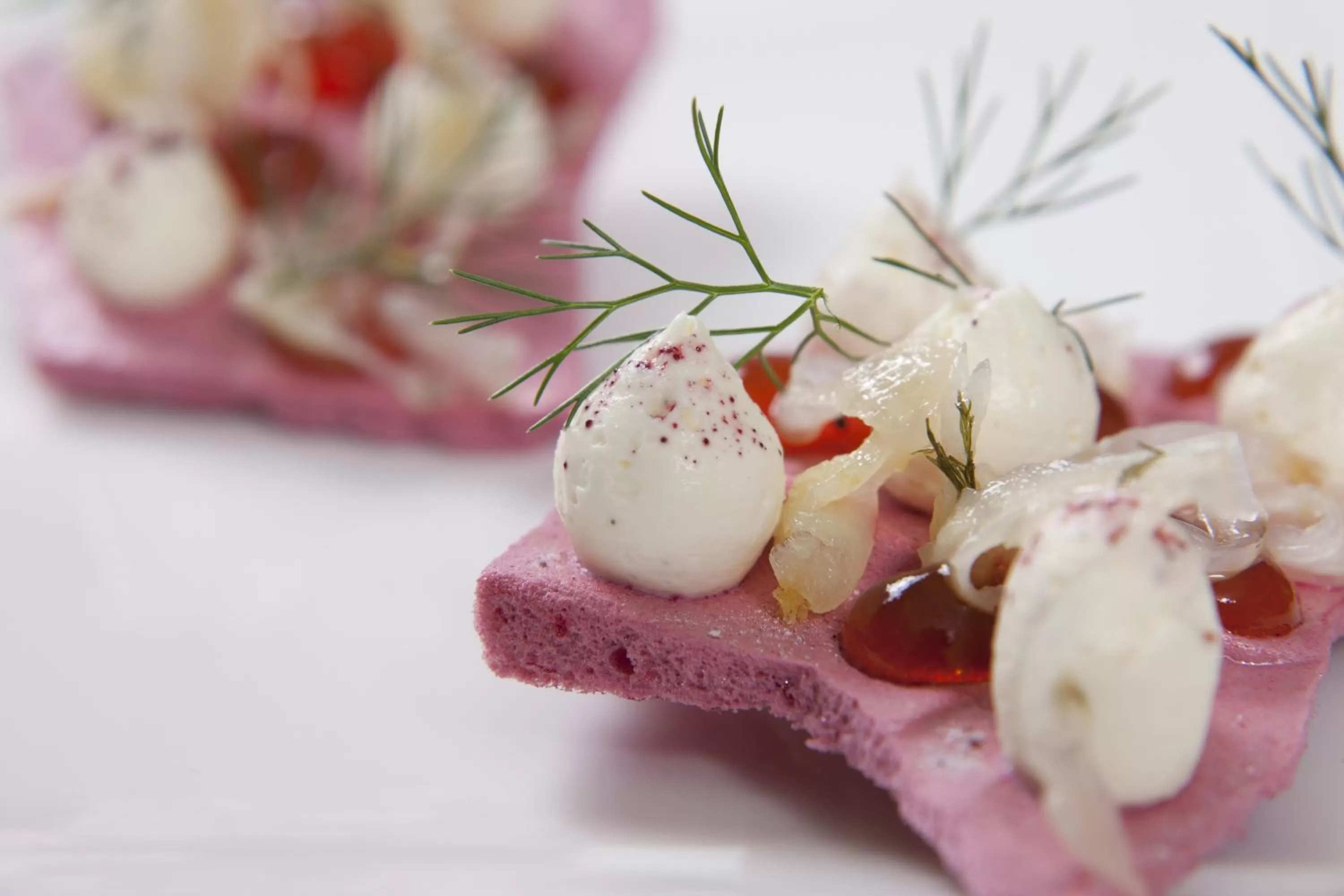 Food close-up in Sudbury House
