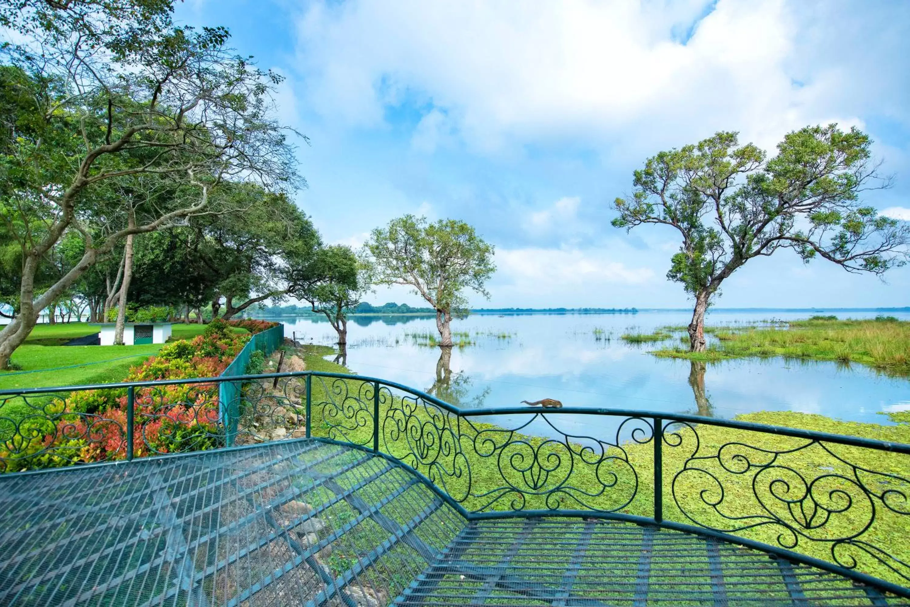 Garden view, Balcony/Terrace in Hotel Sudu Araliya