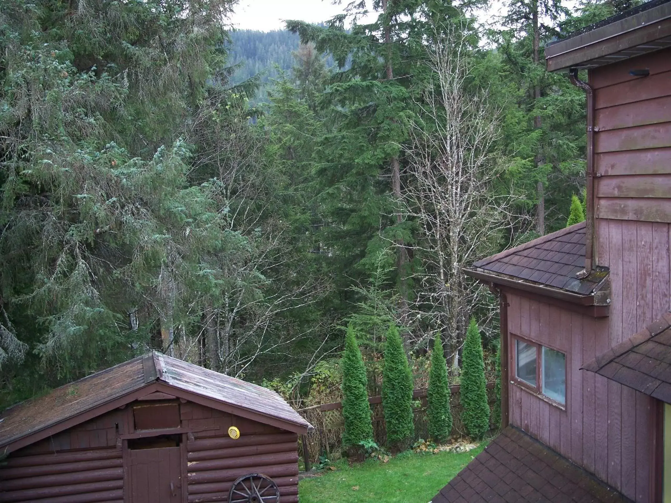 View (from property/room) in Tall Trees Bed & Breakfast