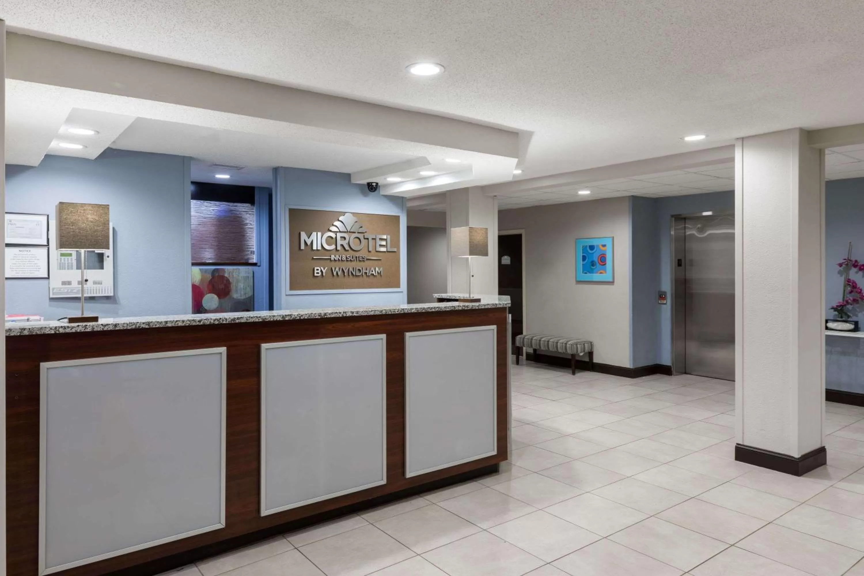 Lobby or reception in Microtel Inn & Suites - Greenville