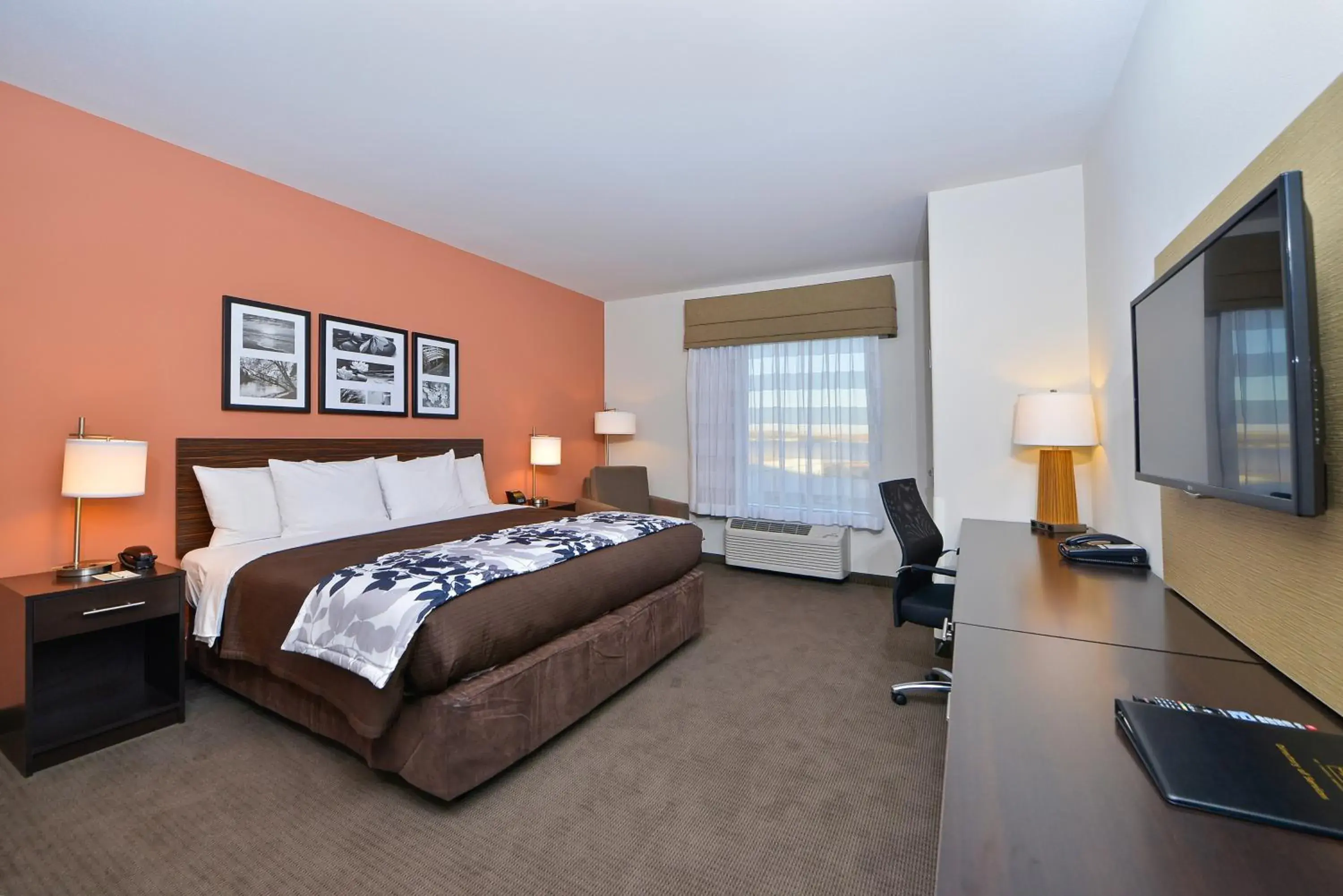 Bedroom in Sleep Inn & Suites Austin – Tech Center