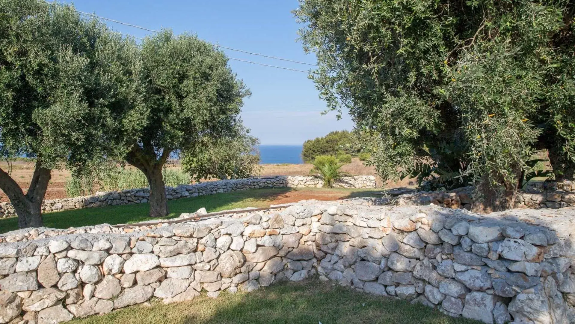 Other, Garden in Masseria dei Monaci